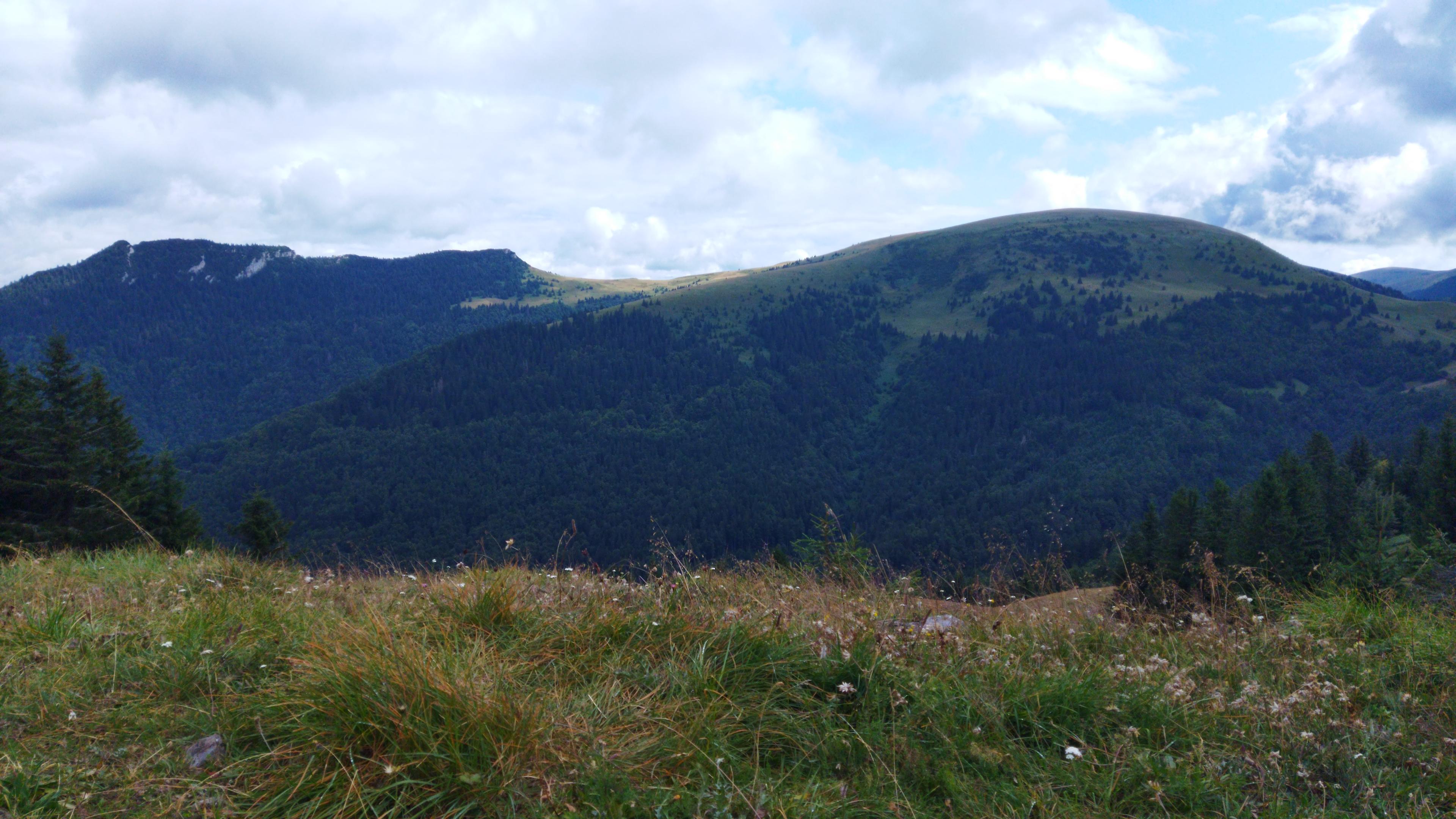 wild ridge velka fatra hikers wander hike journey meadow forest