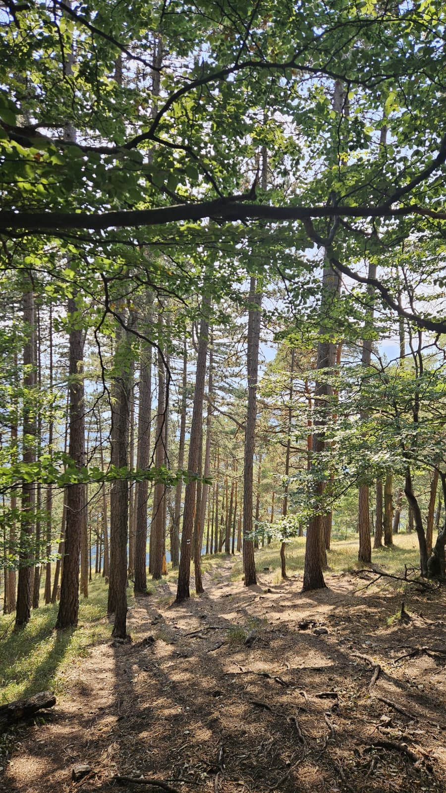great fatra, velka fatra, limestone cliffs, caves, wild, rocks, viewpoint view trail hike journey