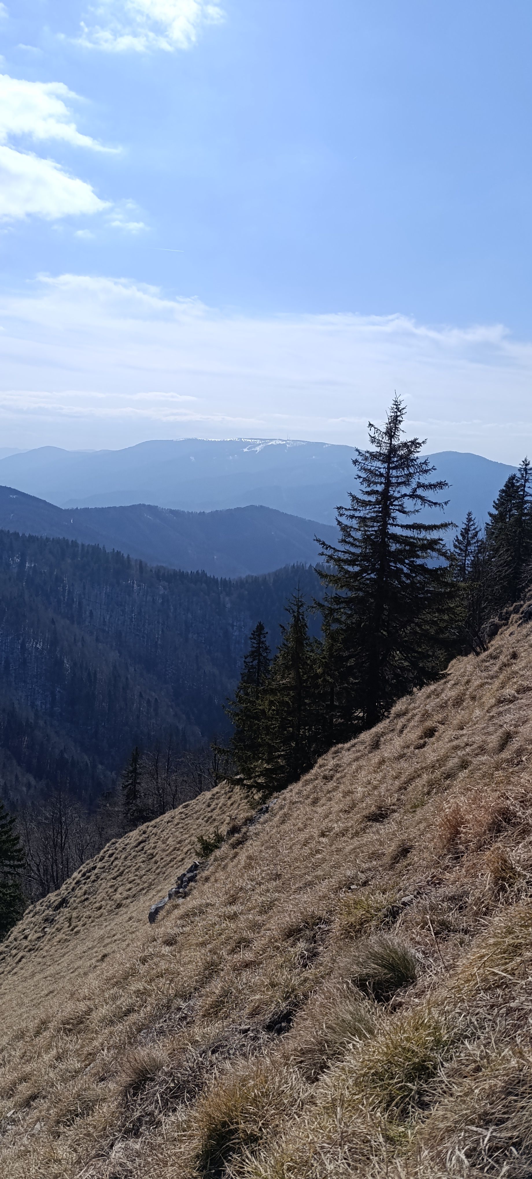 enchanted forrest walker green wild meadow ridge small fatra
