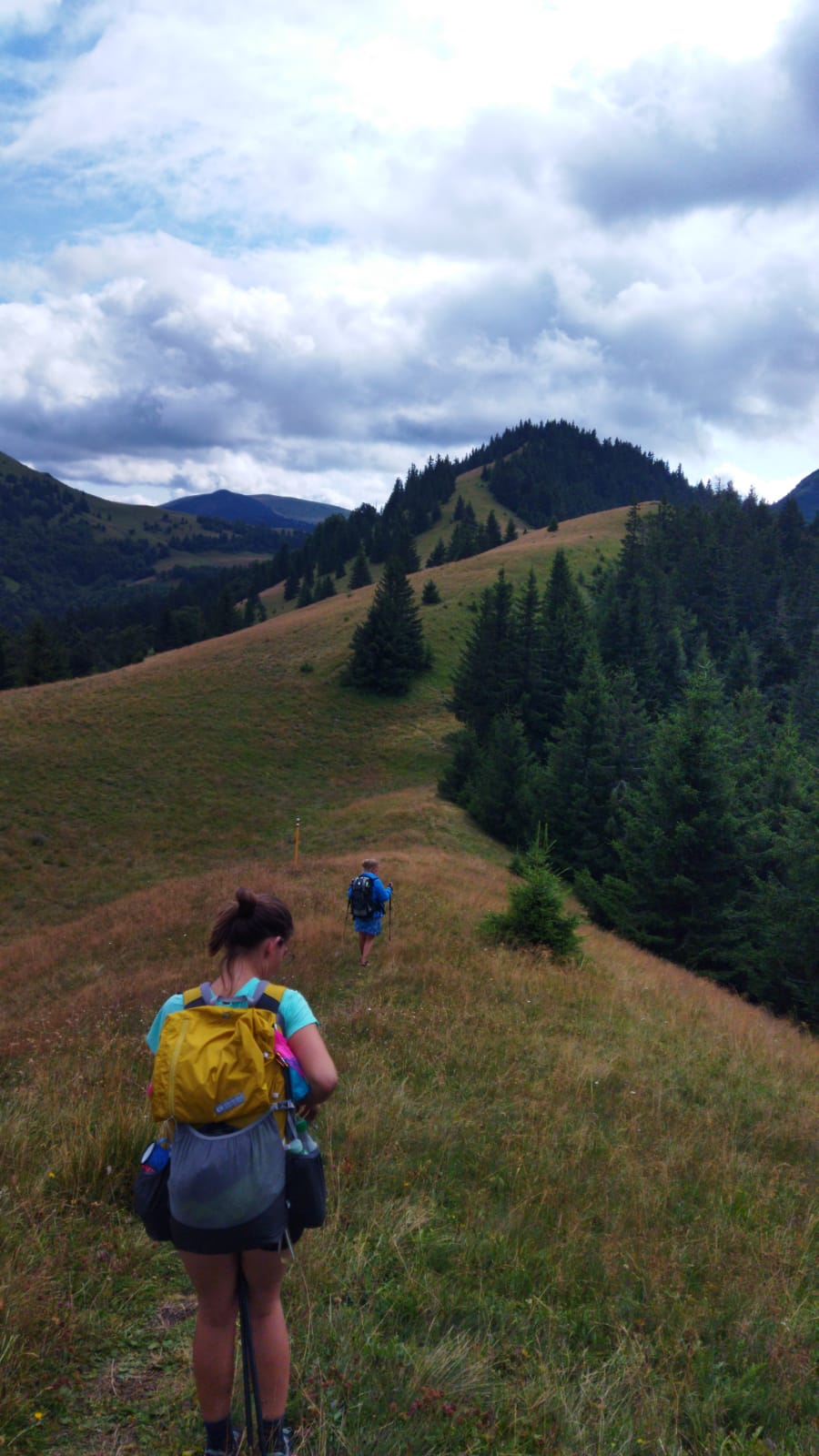 wild ridge velka fatra hikers wander hike journey meadow forest