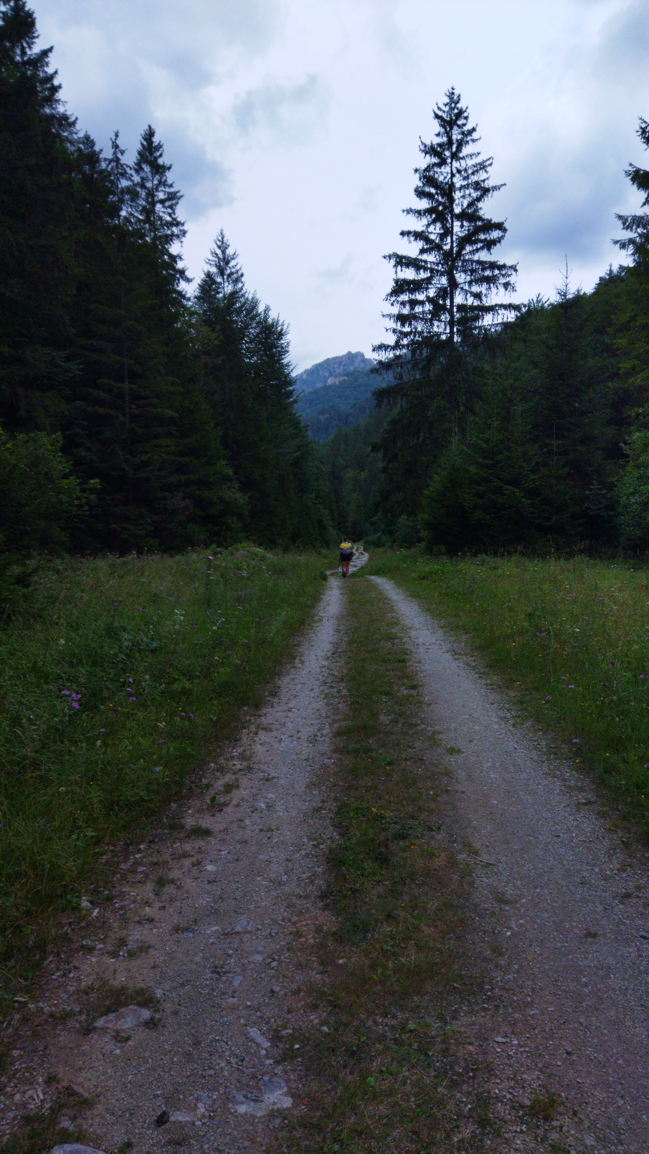 shepherd house, tradition, great fatra, wild valley, ridge 