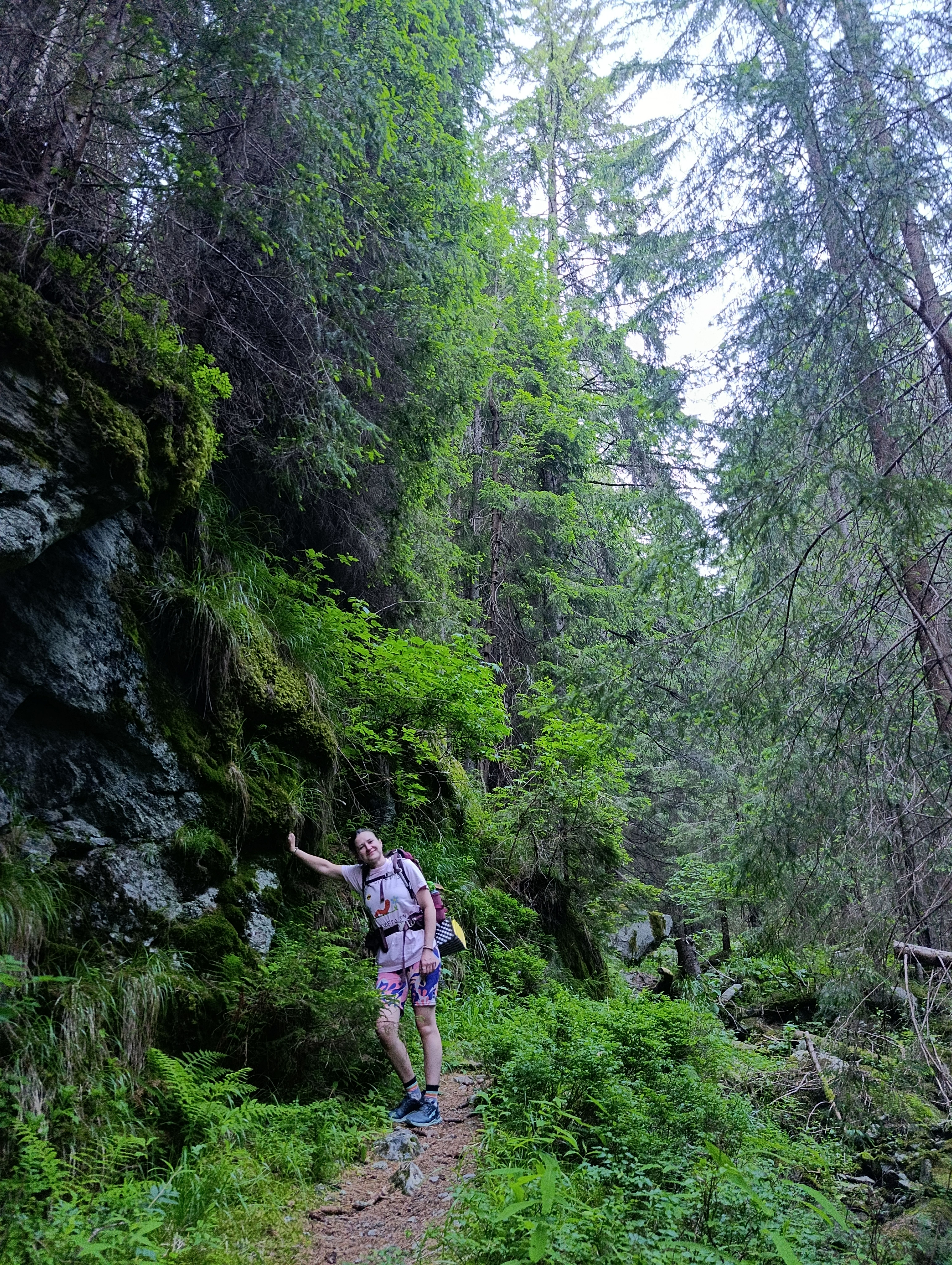 riverbed wilderness forrest western tatras hike walker journey