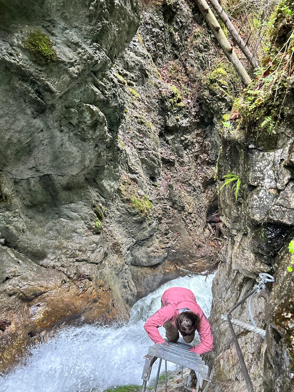 wild gorge slovak paradise waterfall wilderness water