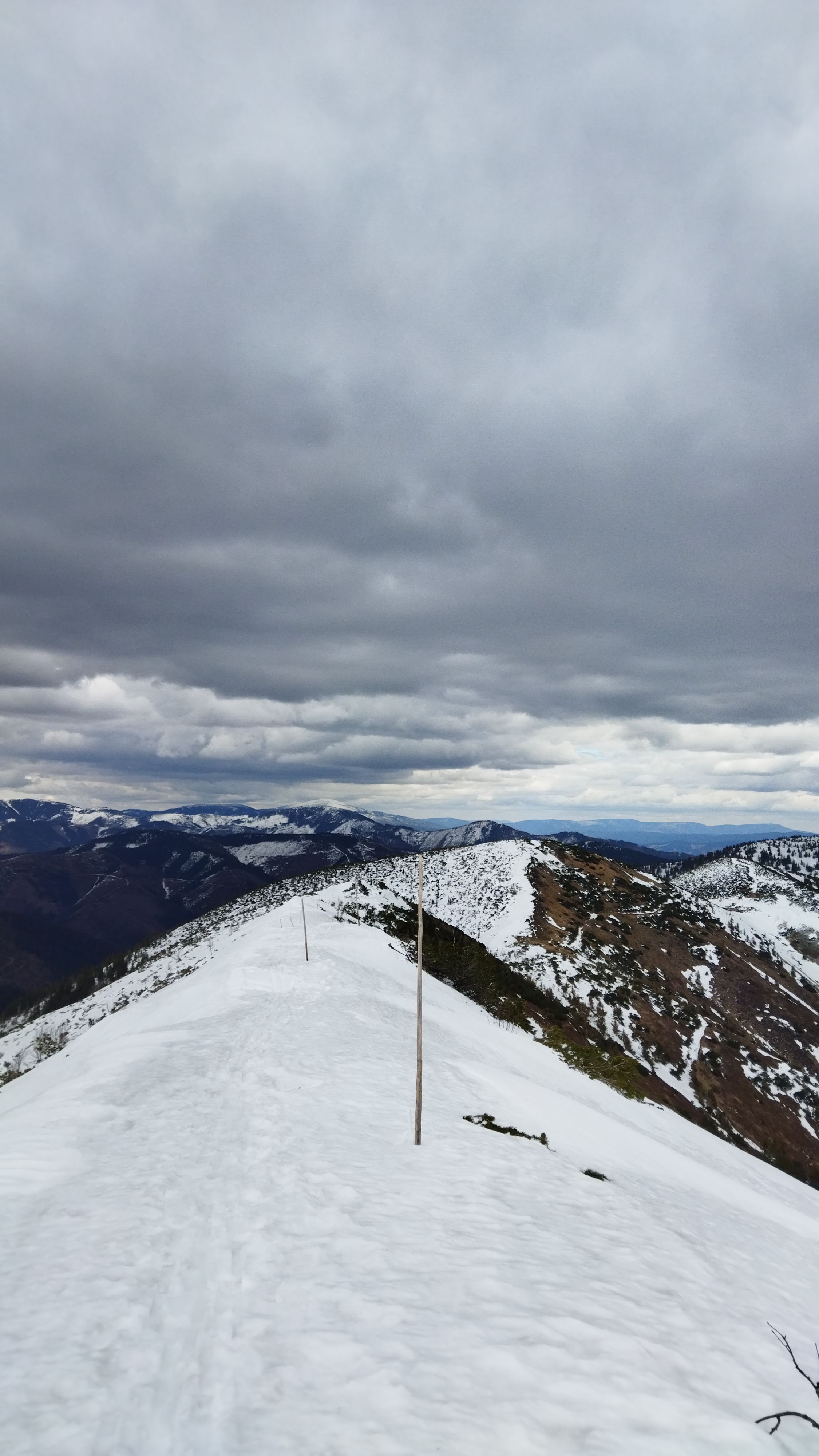 snow ridge nizke tatry spruces trees walk panorama view