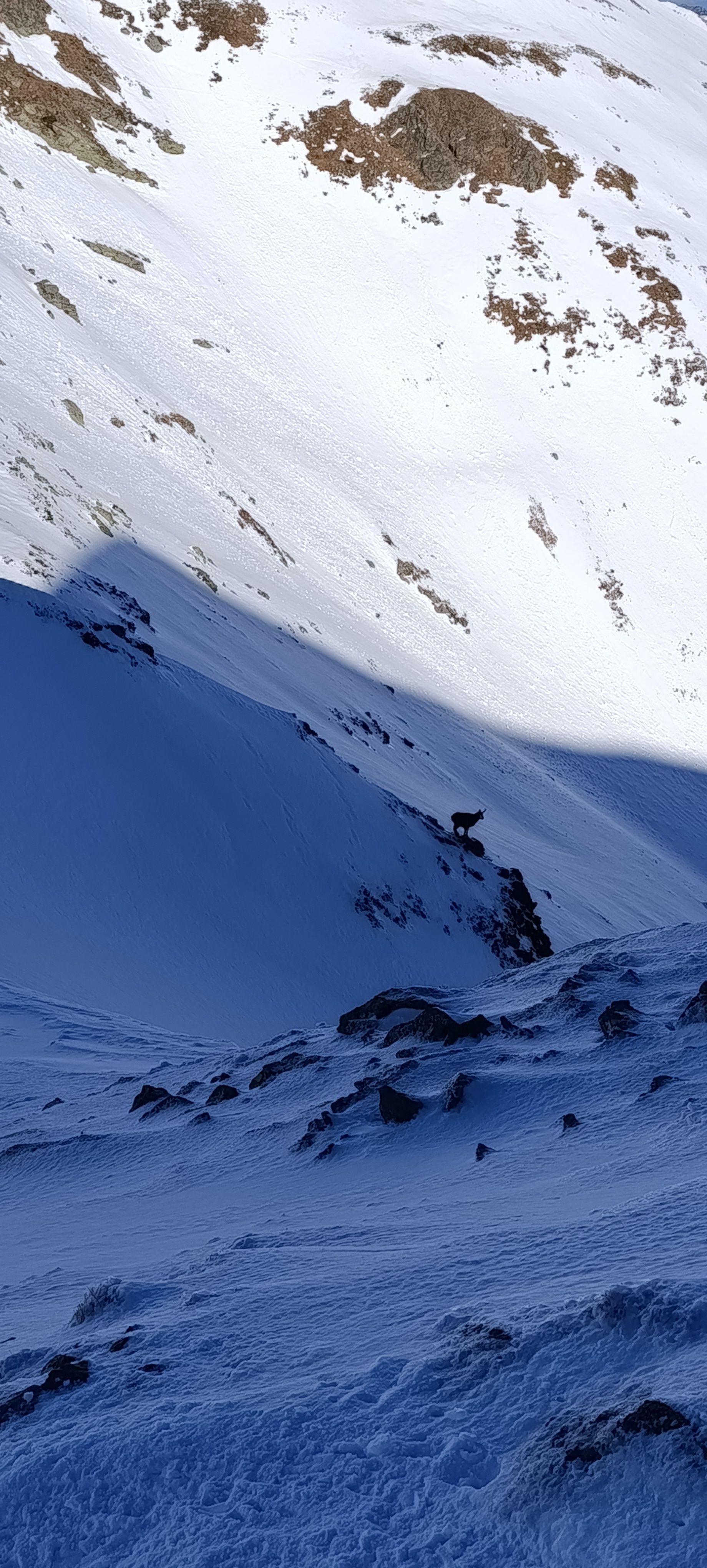mountain snow western tatras beauty blue sky persons walkers hike ridge