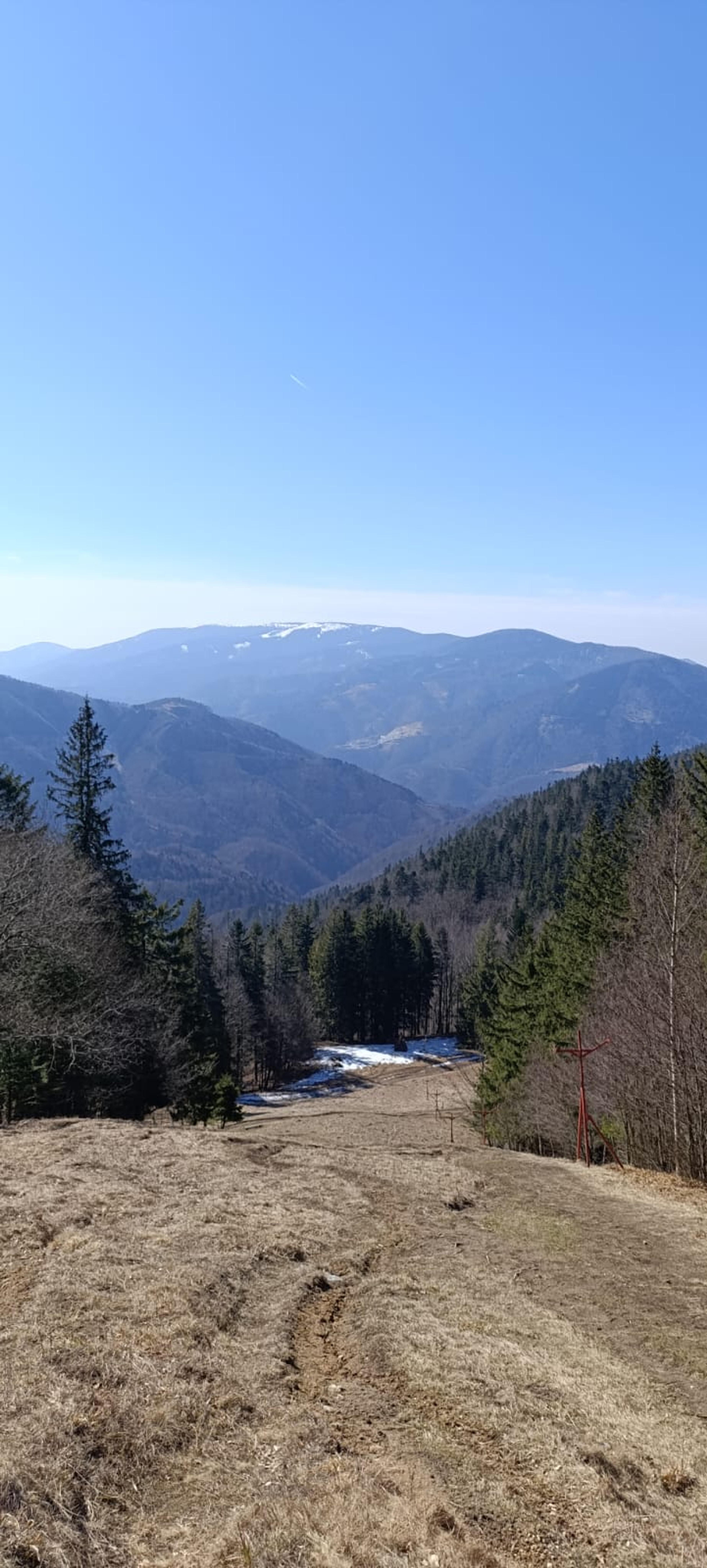enchanted forrest walker green wild meadow ridge small fatra