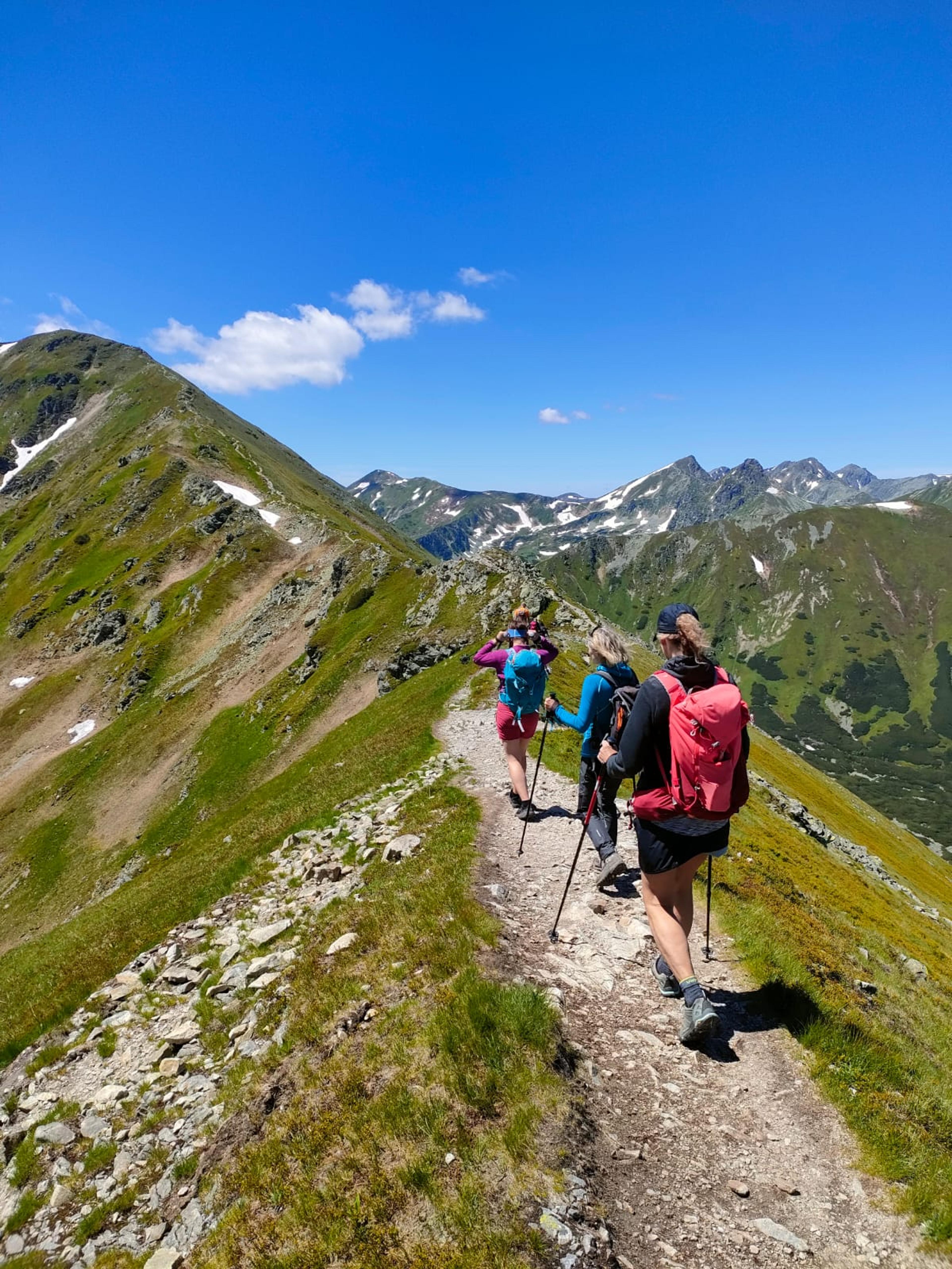 A small group walking single file along a green summit ridge with packs