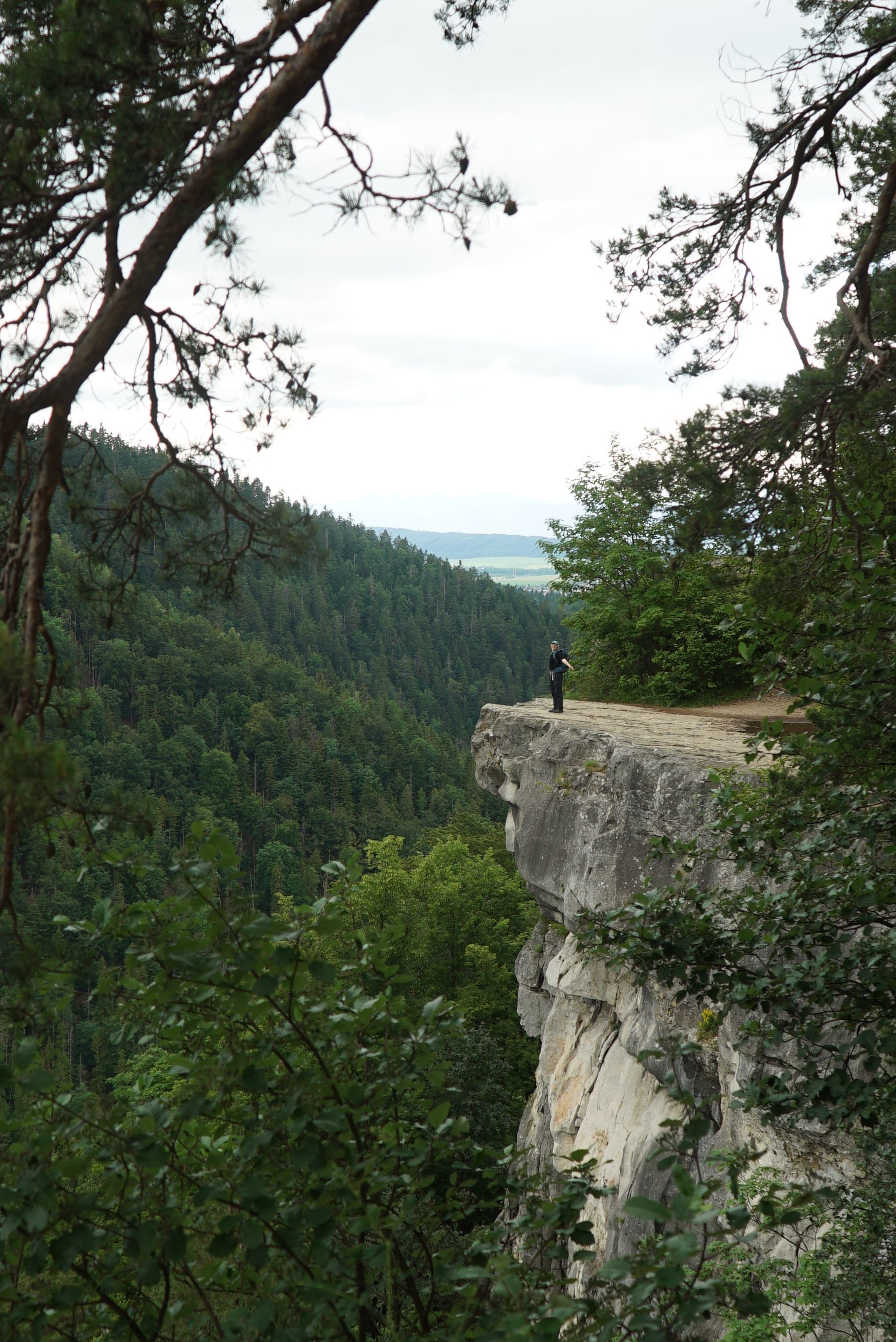 viewpoin slovak paradise view rock wild