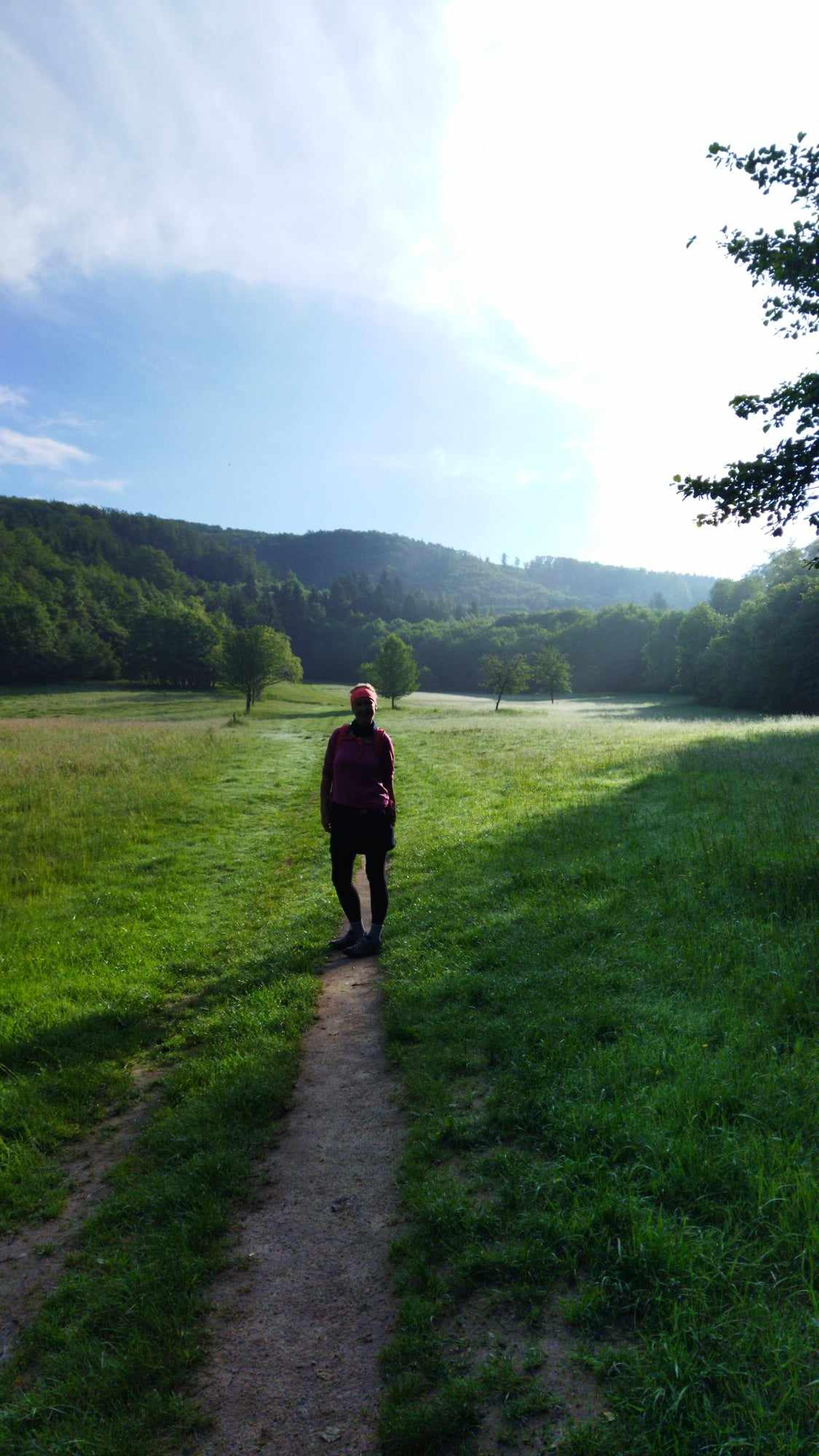 enchanted forrest walker green wild meadow ridge small fatra