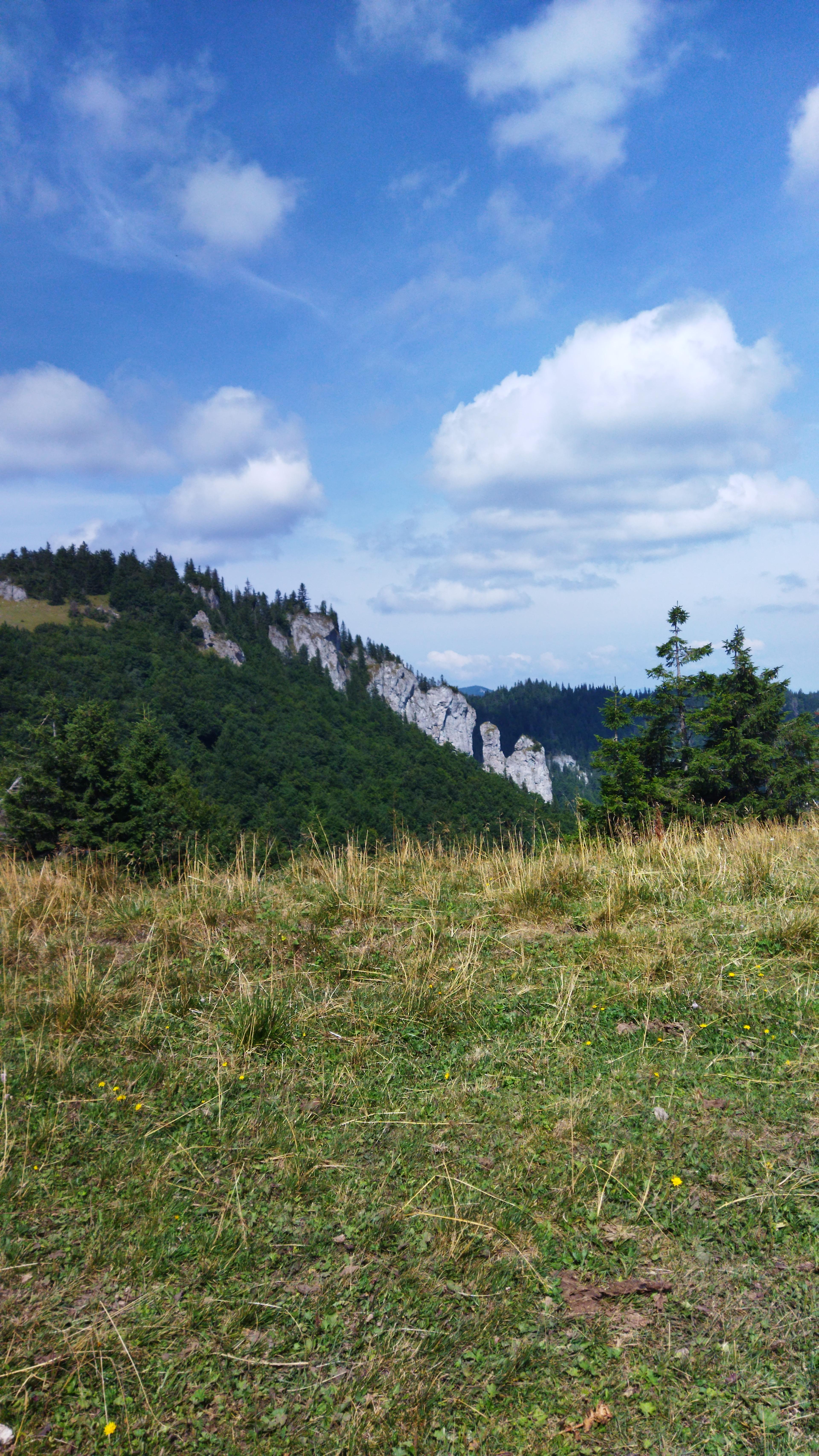 shepherd house, tradition, great fatra, wild valley, ridge 
