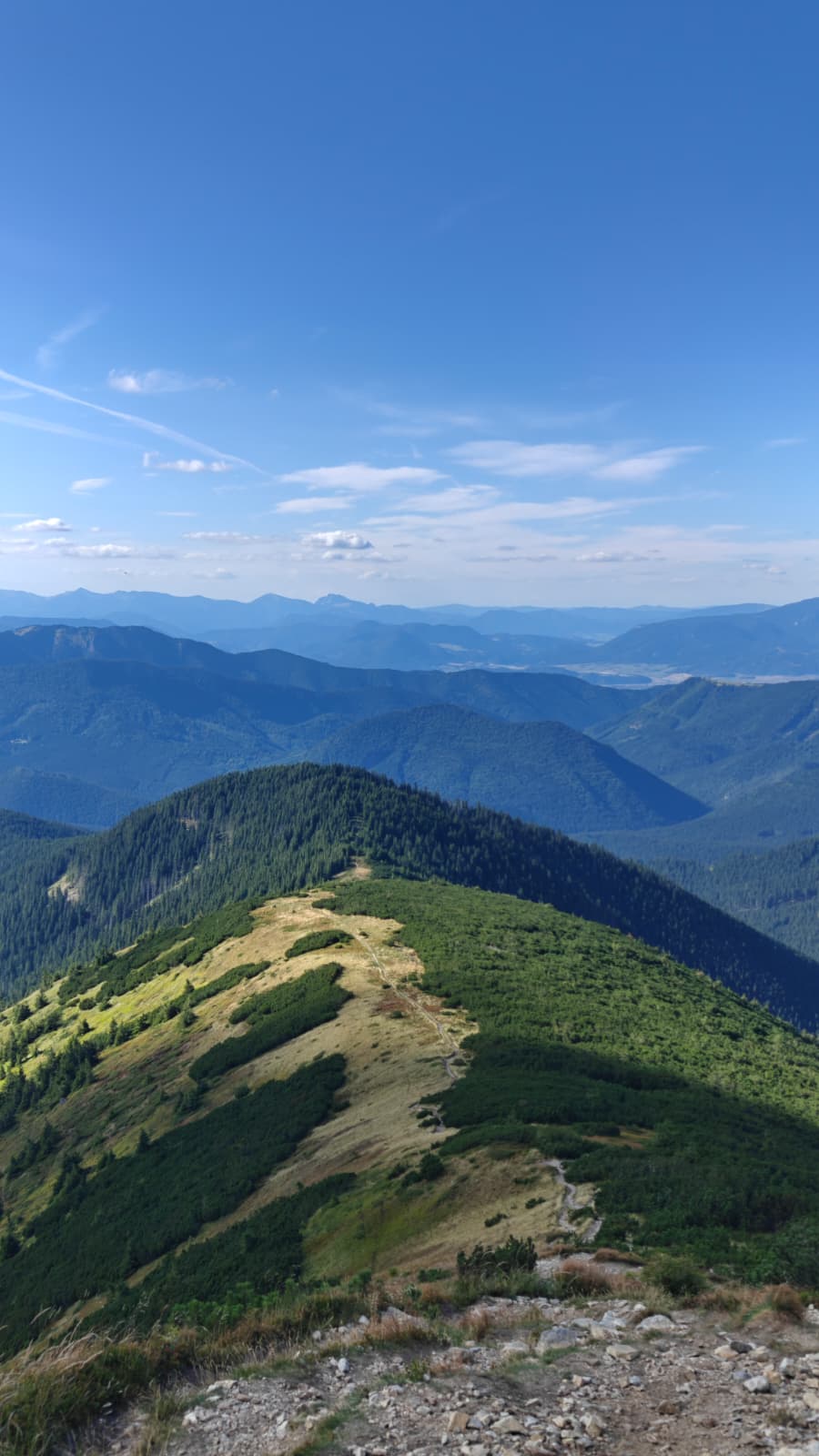 mountain ridge chabenec low tatras green wild