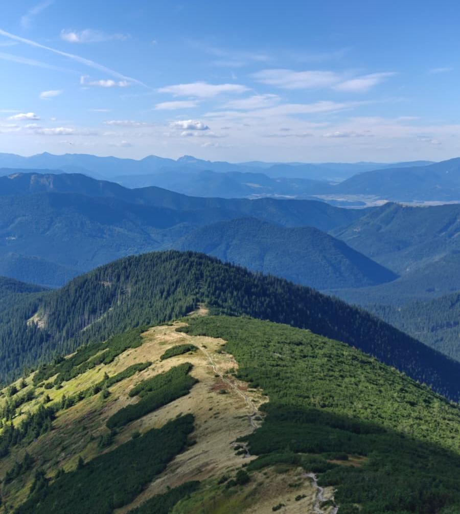 mountain ridge chabenec low tatras green wild