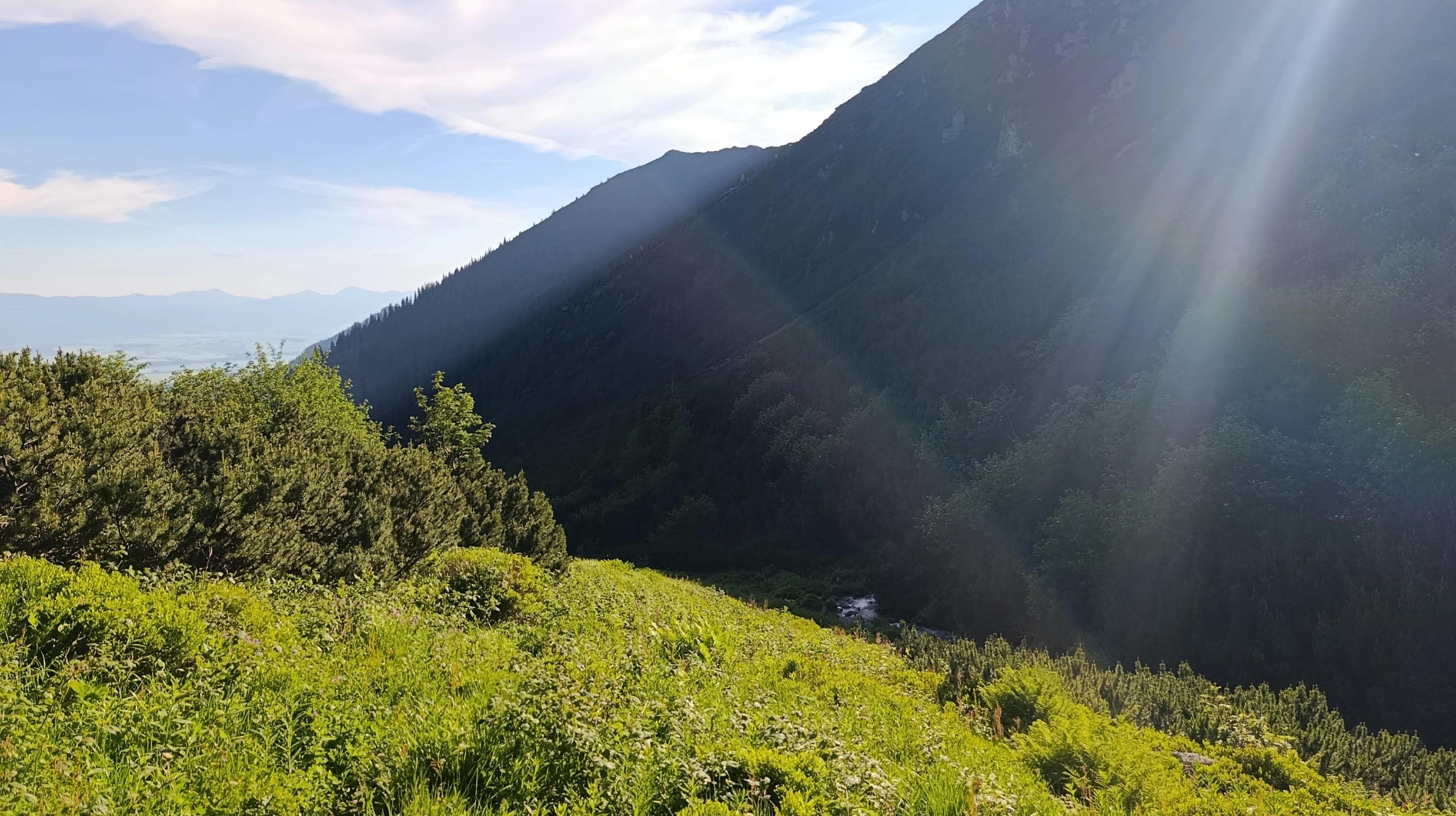 riverbed wilderness forrest western tatras hike walker journey