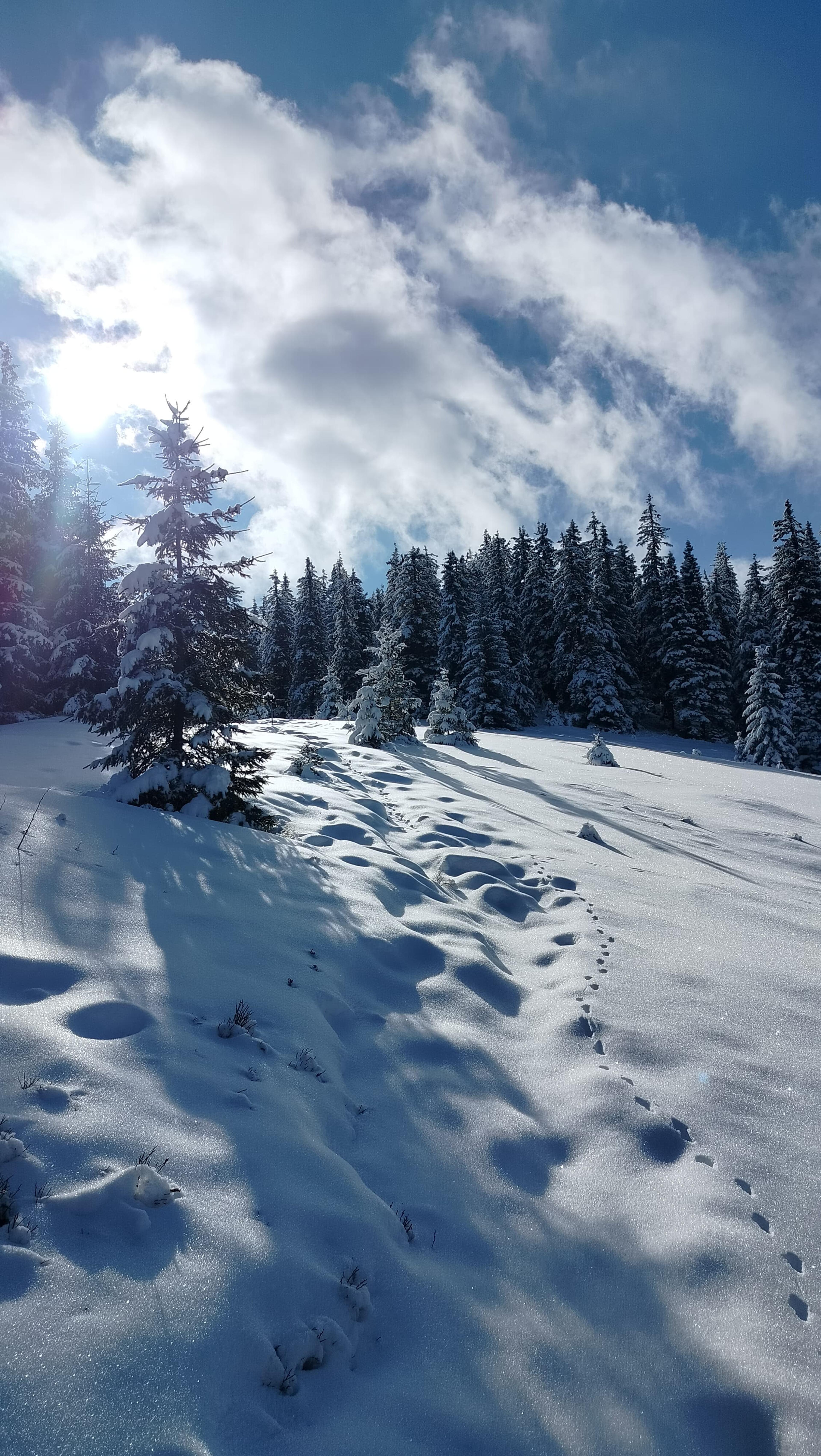 wide beauty mountains layers ridge low tatras