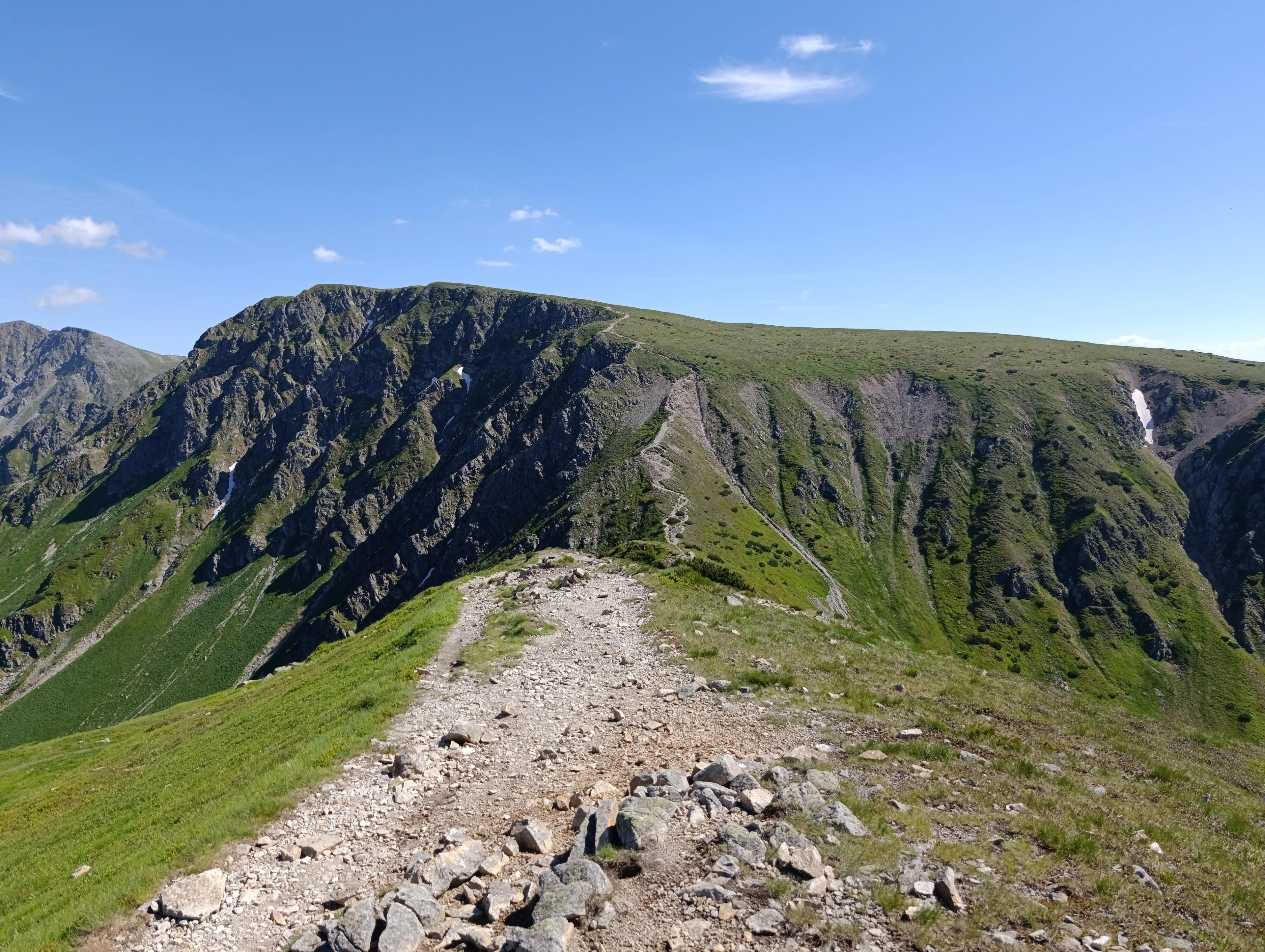 riverbed wilderness forrest western tatras hike walker journey