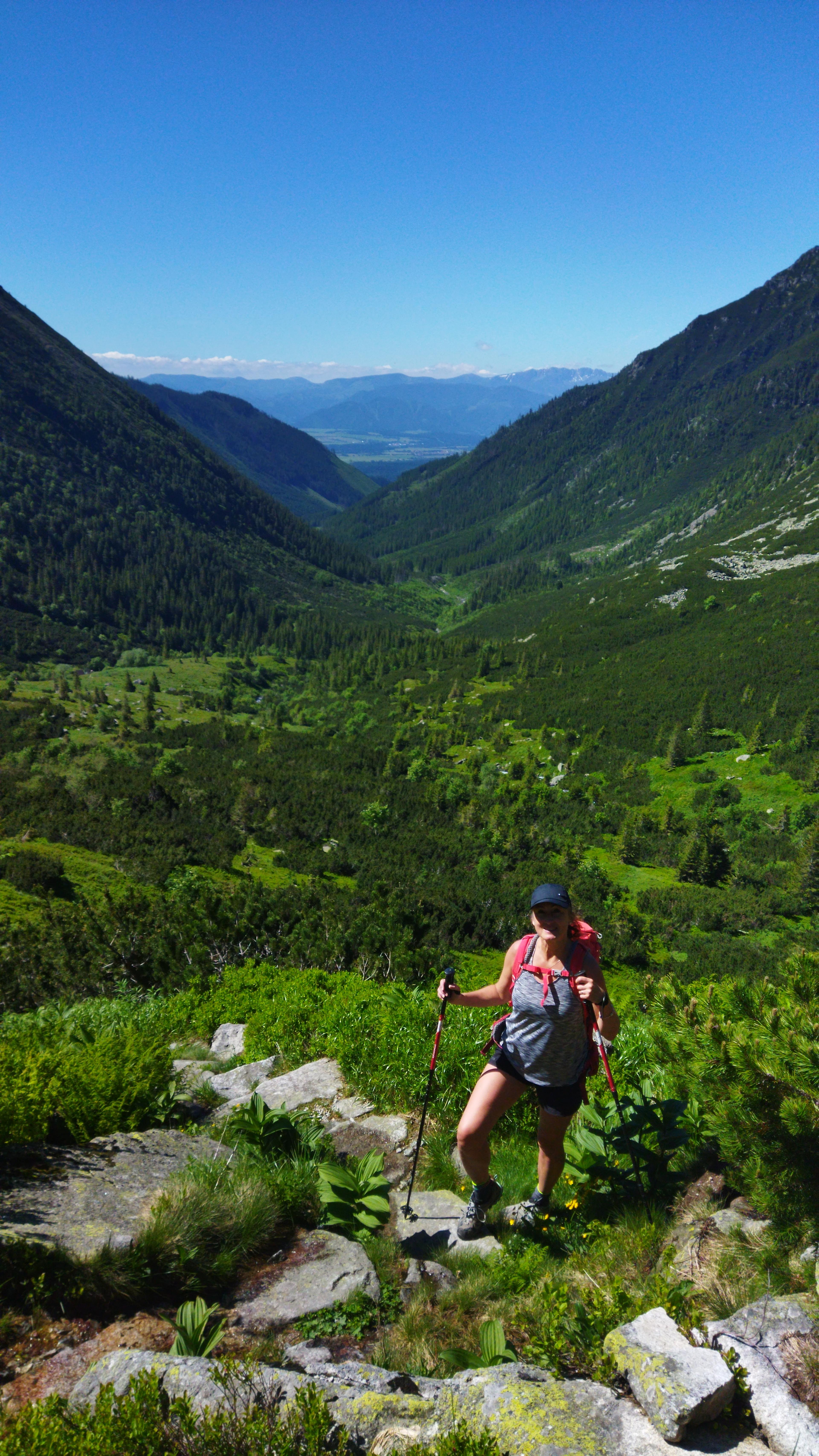 wild valley