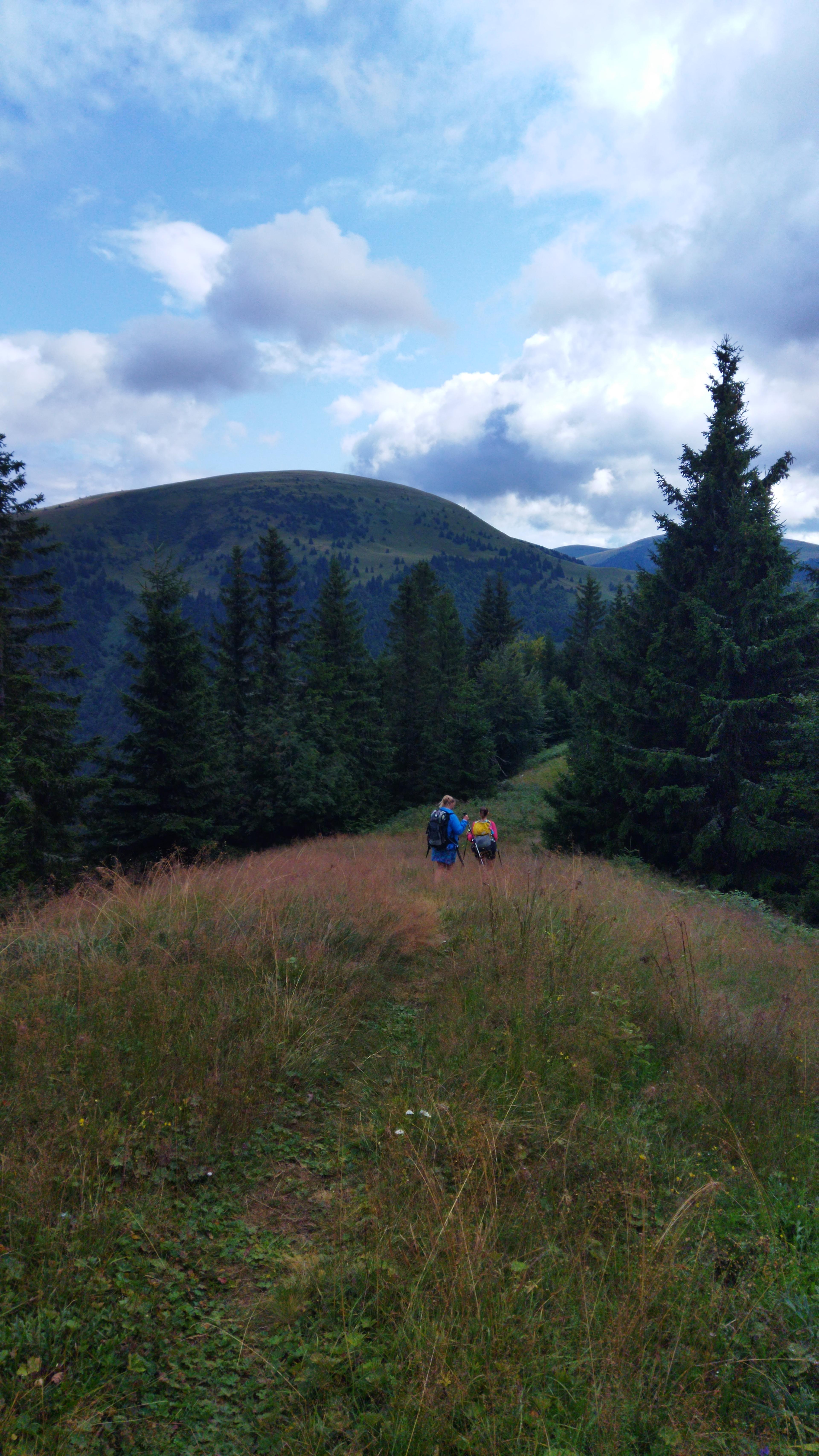 wild ridge velka fatra hikers wander hike journey meadow forest