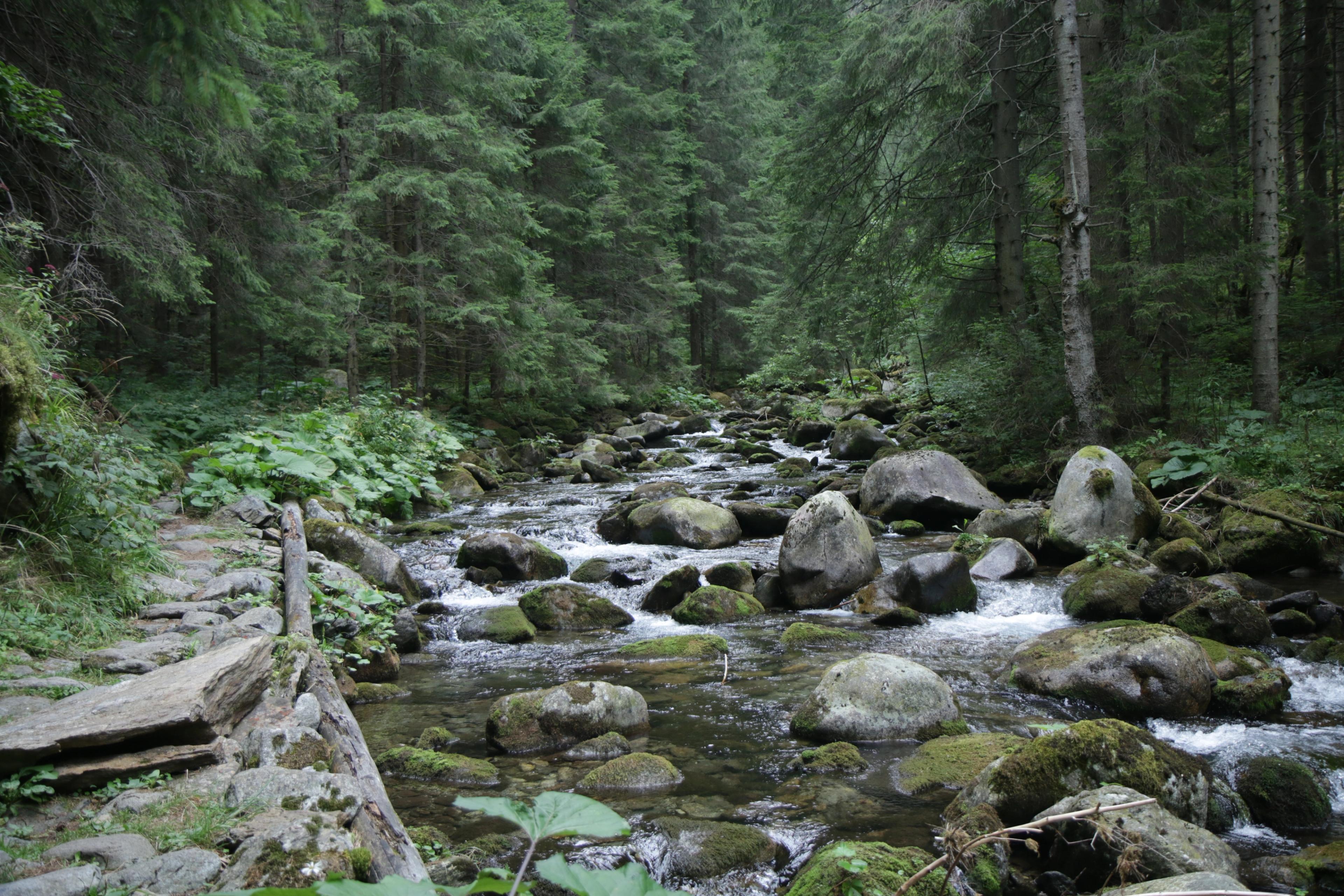 Mountain insurance: Included