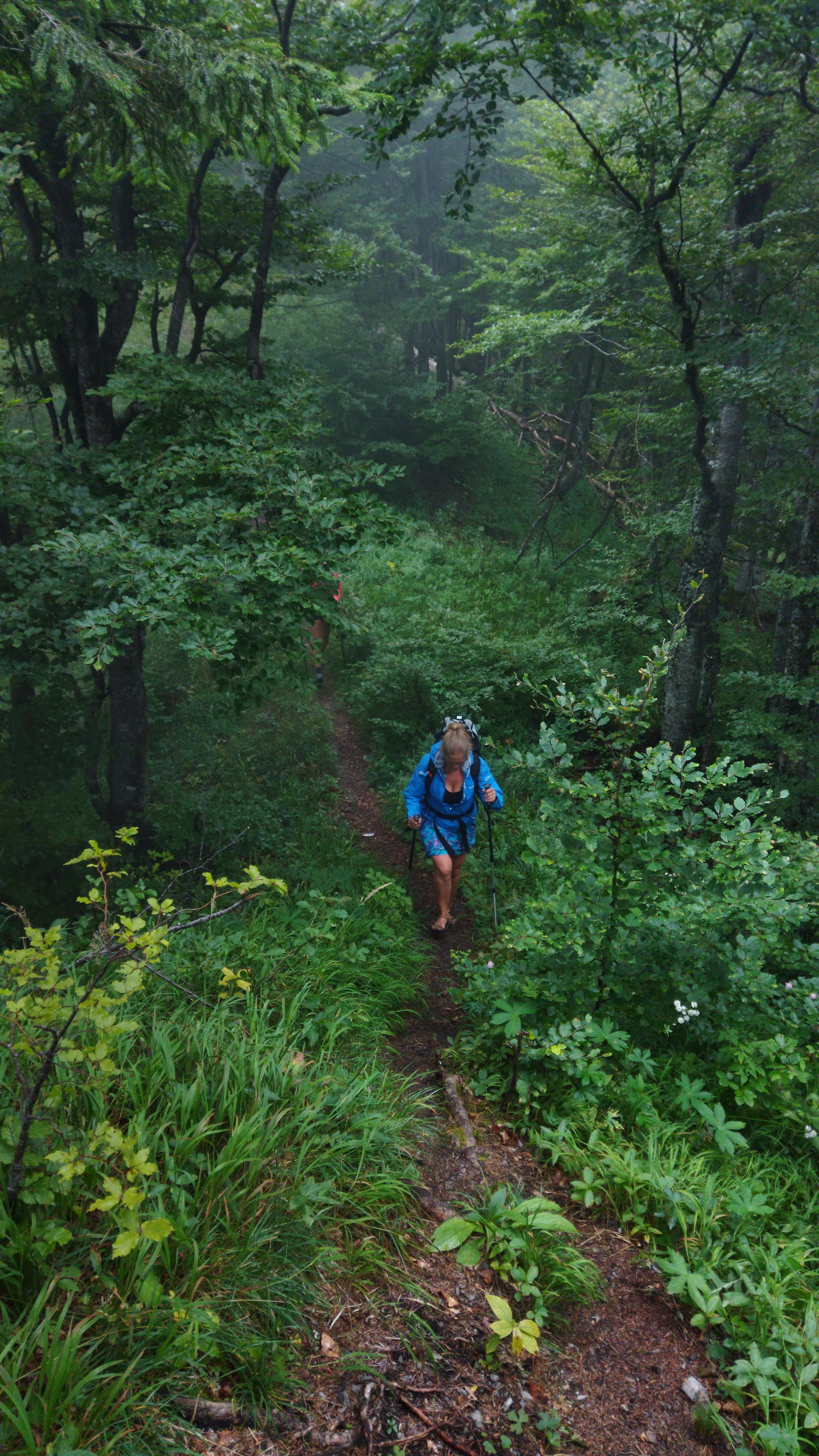 wild ridge velka fatra hikers wander hike journey meadow forest