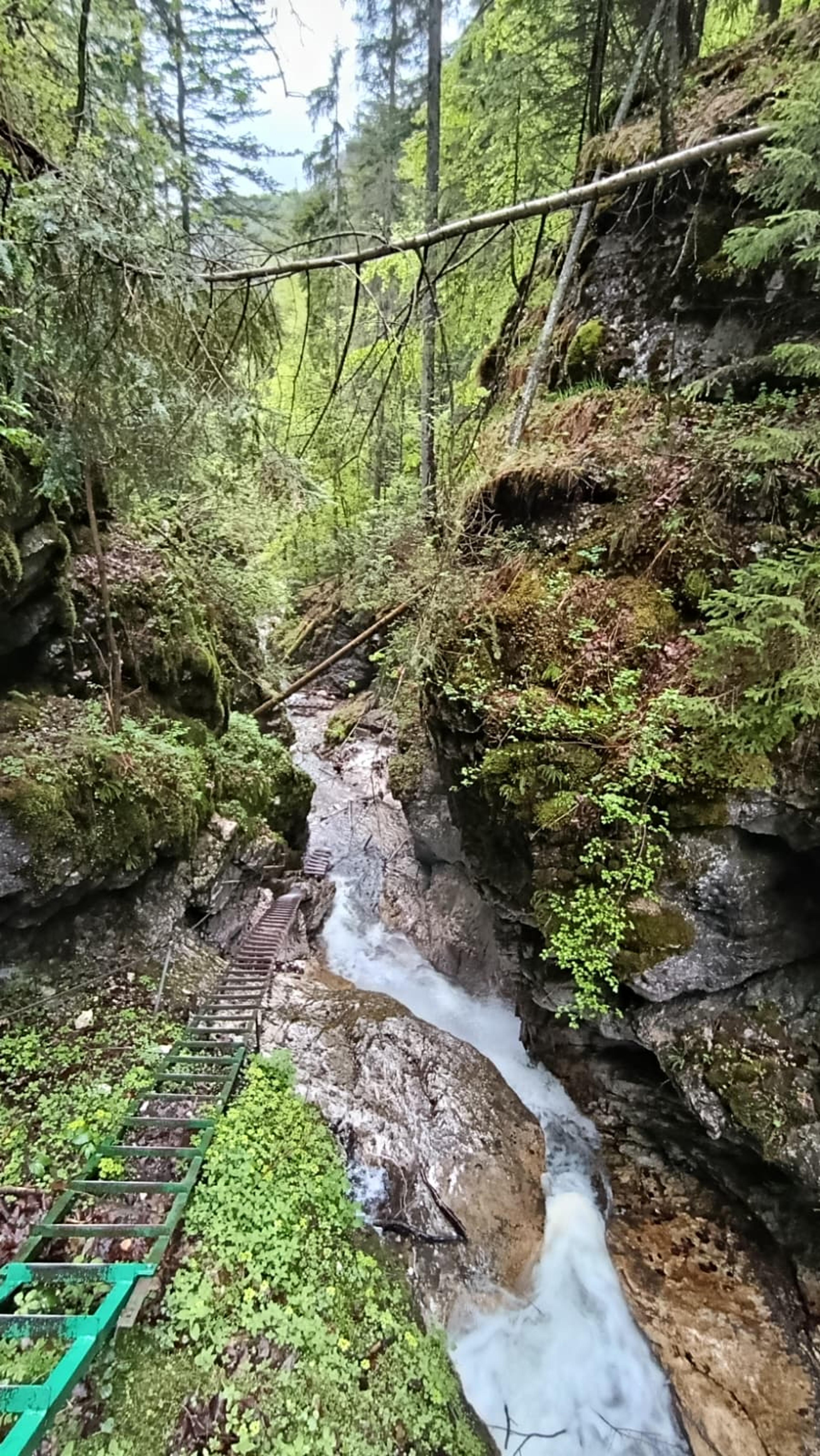 wild gorge slovak paradise waterfall wilderness water