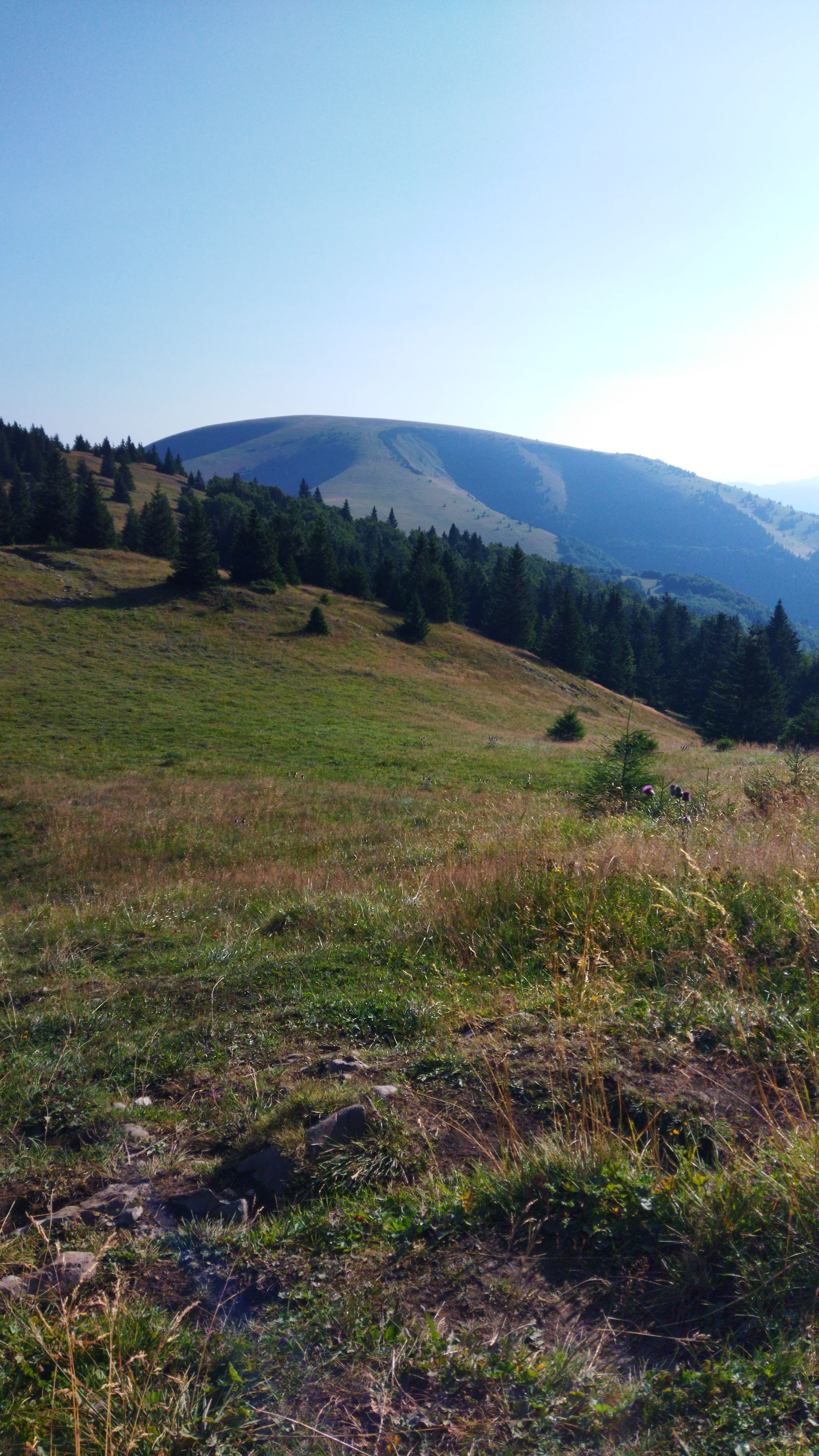 shepherd house, tradition, great fatra, wild valley, ridge 