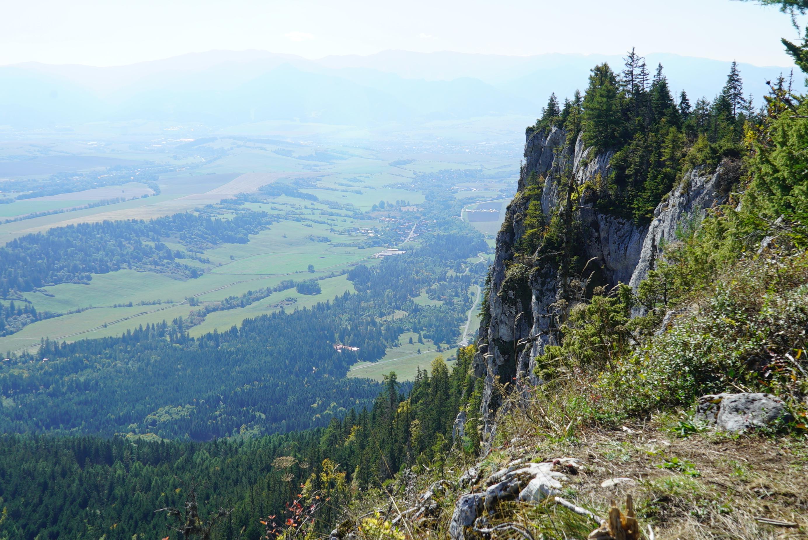 rock view, viewpoint, wild forrest