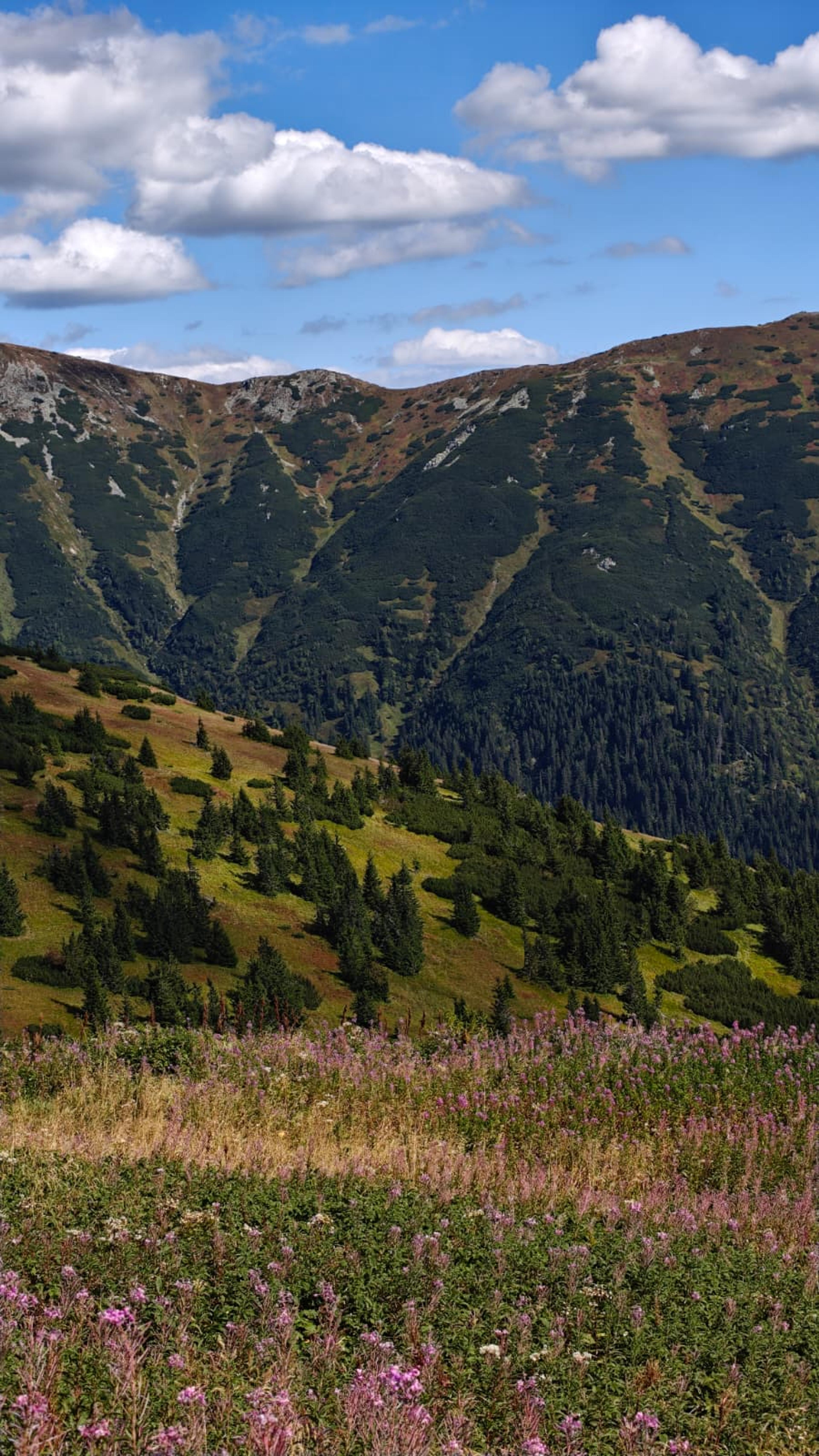 wide beauty mountains layers ridge low tatras