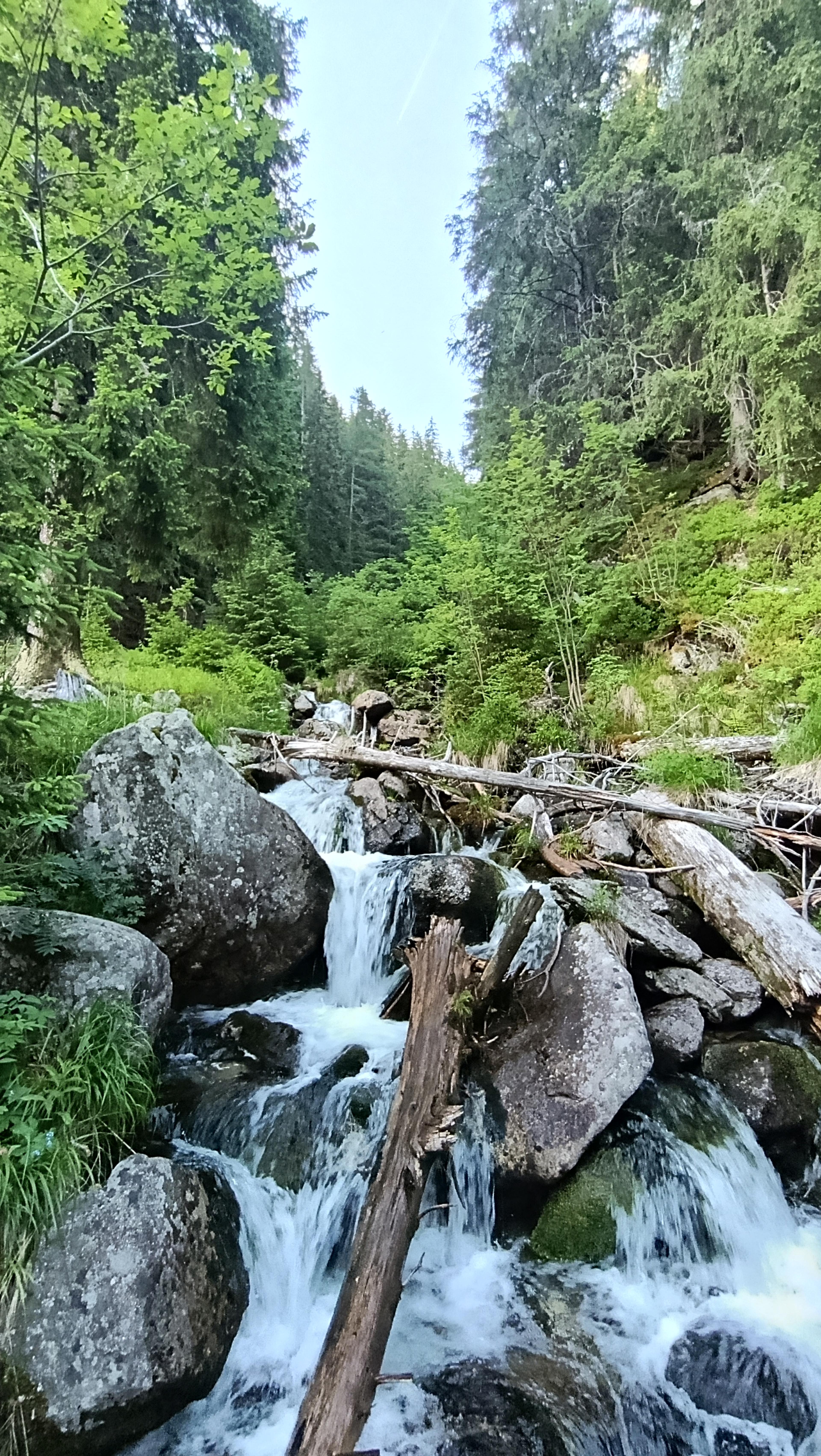 valley river