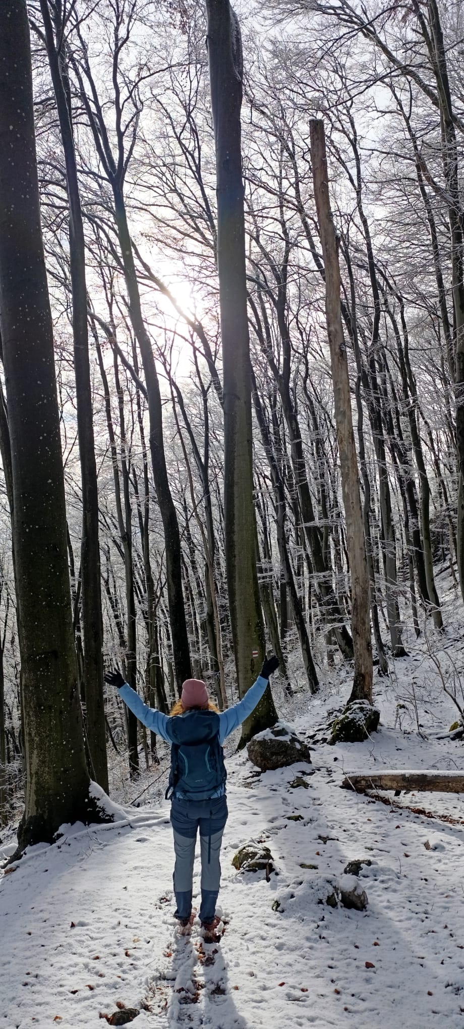 forrest wild Velka fatra walk hike enchanted history oak