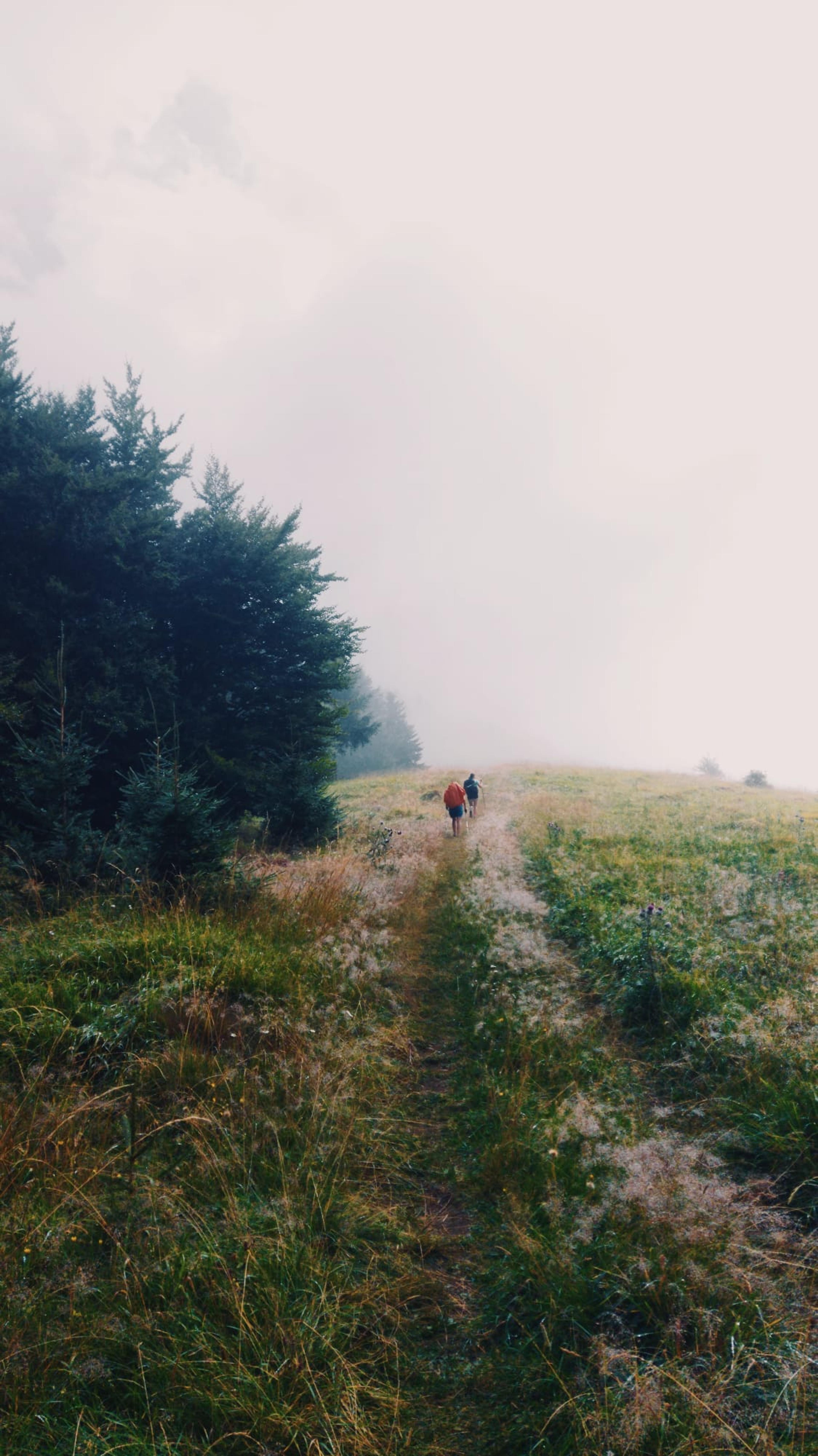 wild ridge velka fatra hikers wander hike journey meadow forest