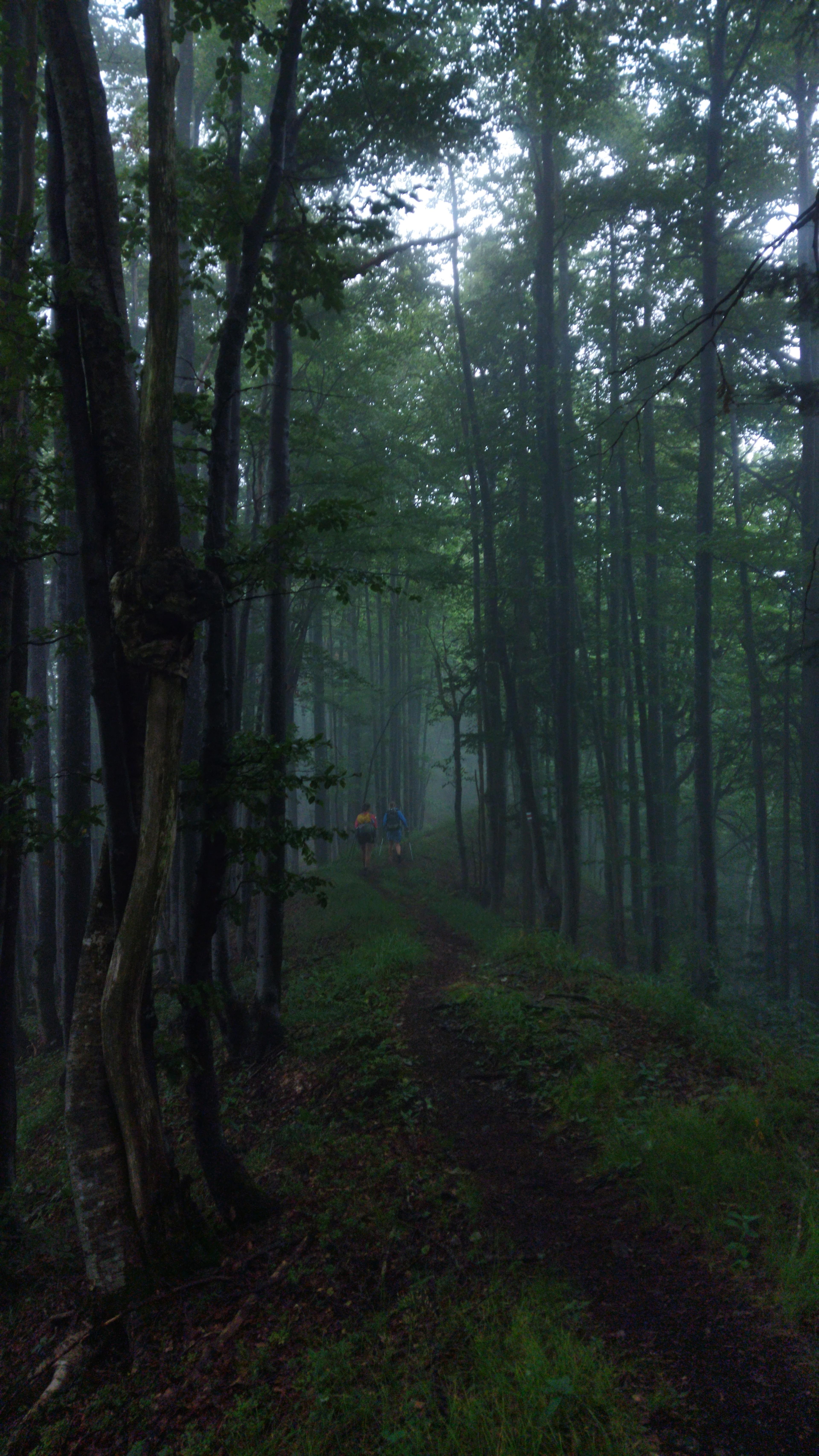 wild ridge velka fatra hikers wander hike journey meadow forest