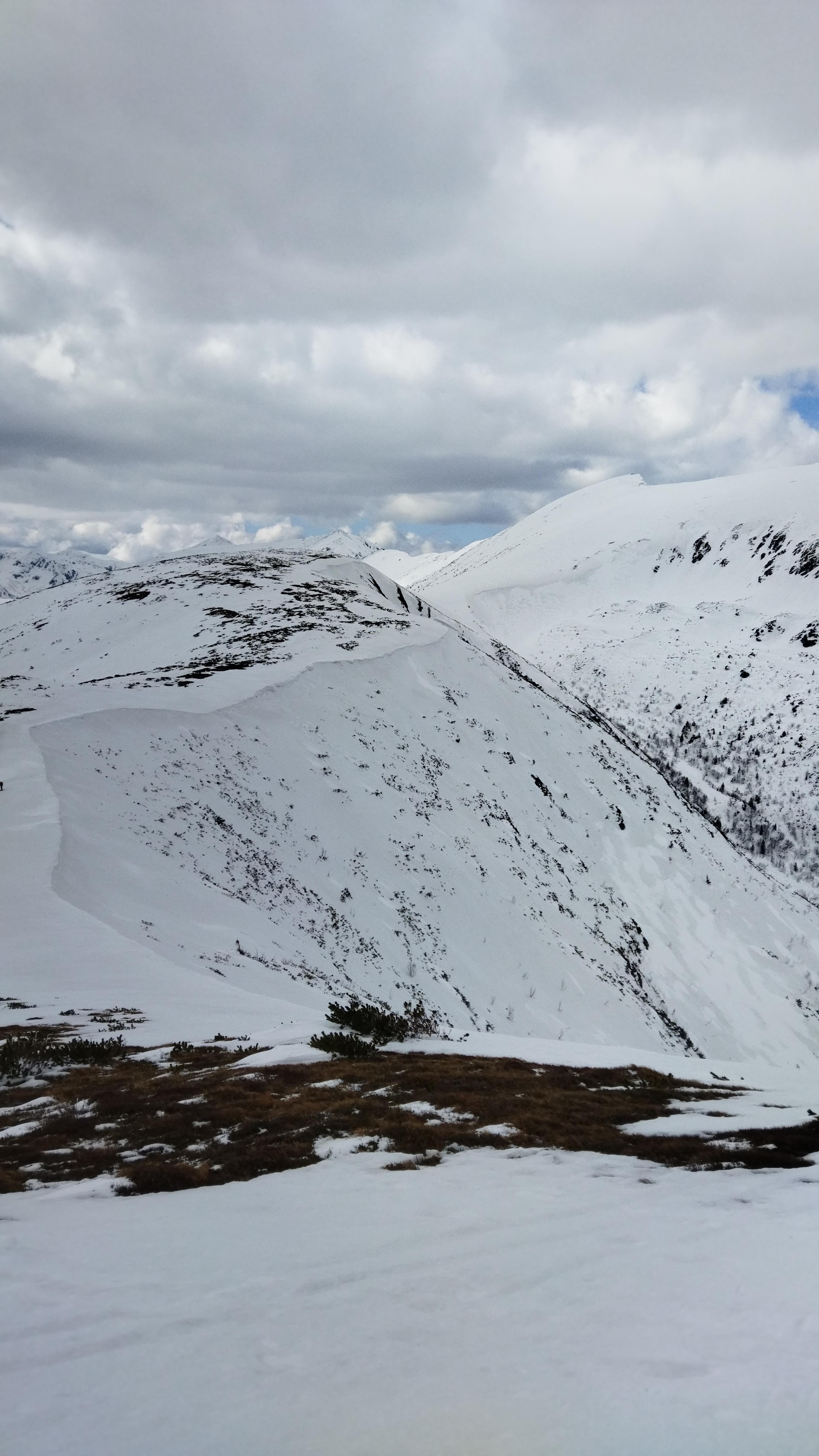 snow ridge nizke tatry spruces trees walk panorama view