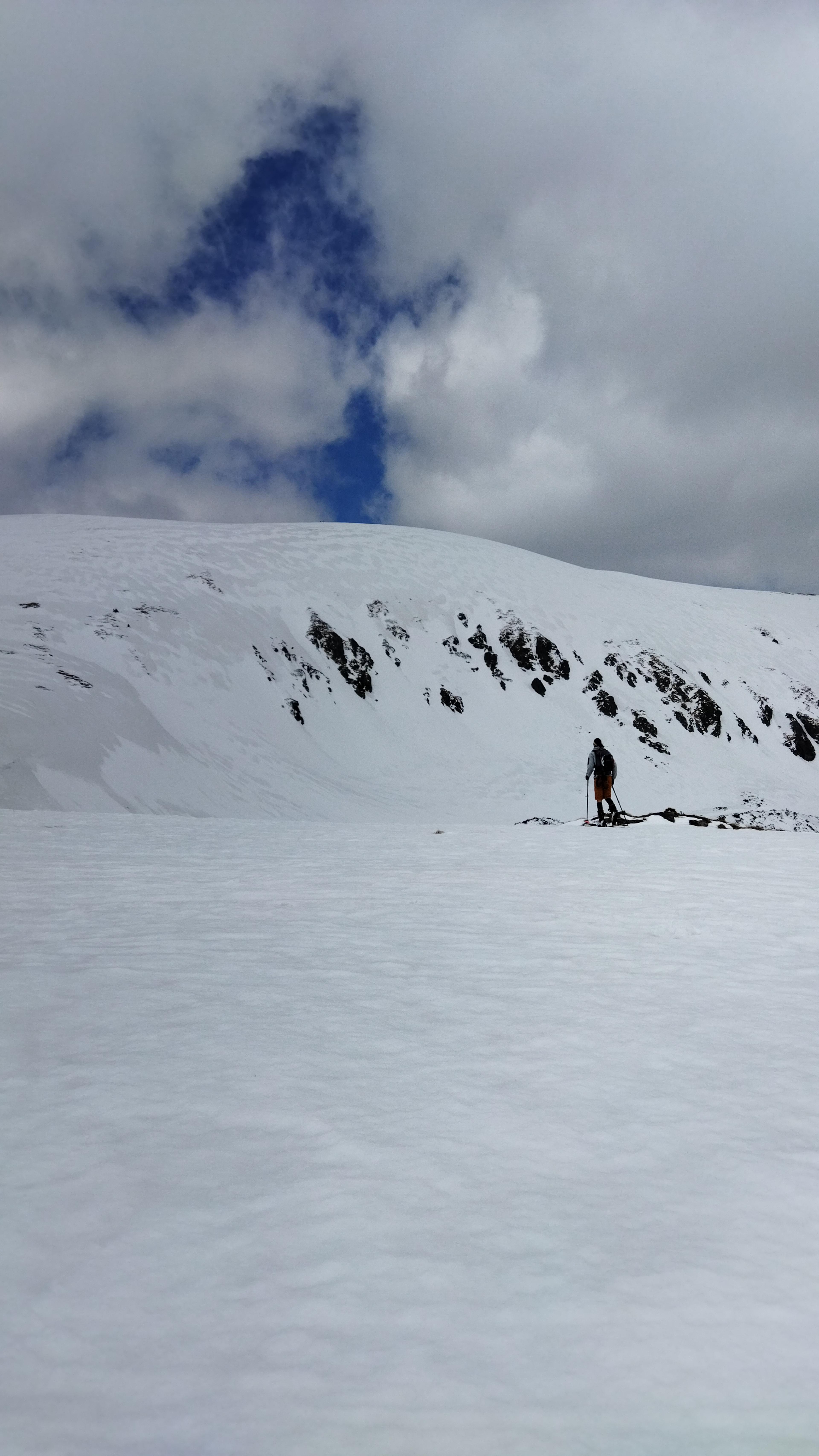 snow ridge nizke tatry spruces trees walk panorama view