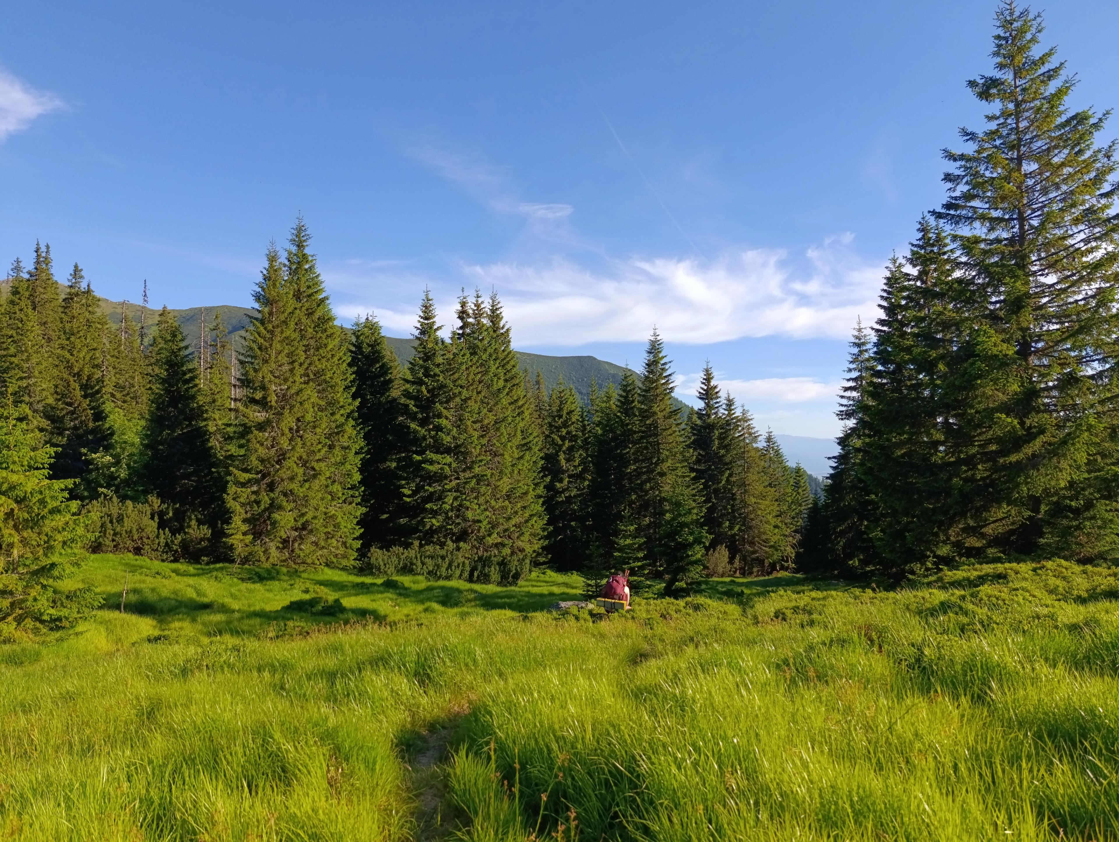 riverbed wilderness forrest western tatras hike walker journey