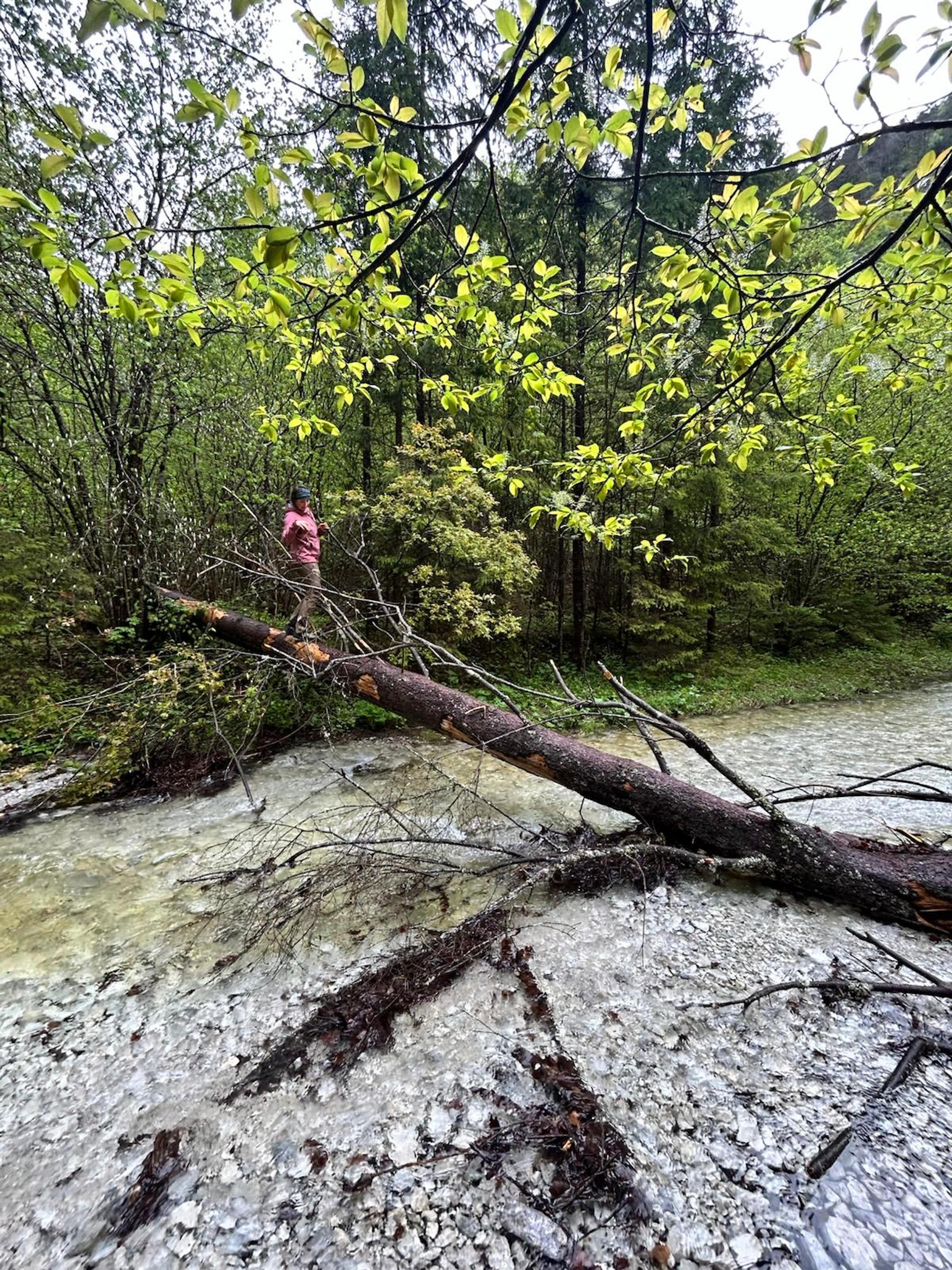wild gorge slovak paradise waterfall wilderness water