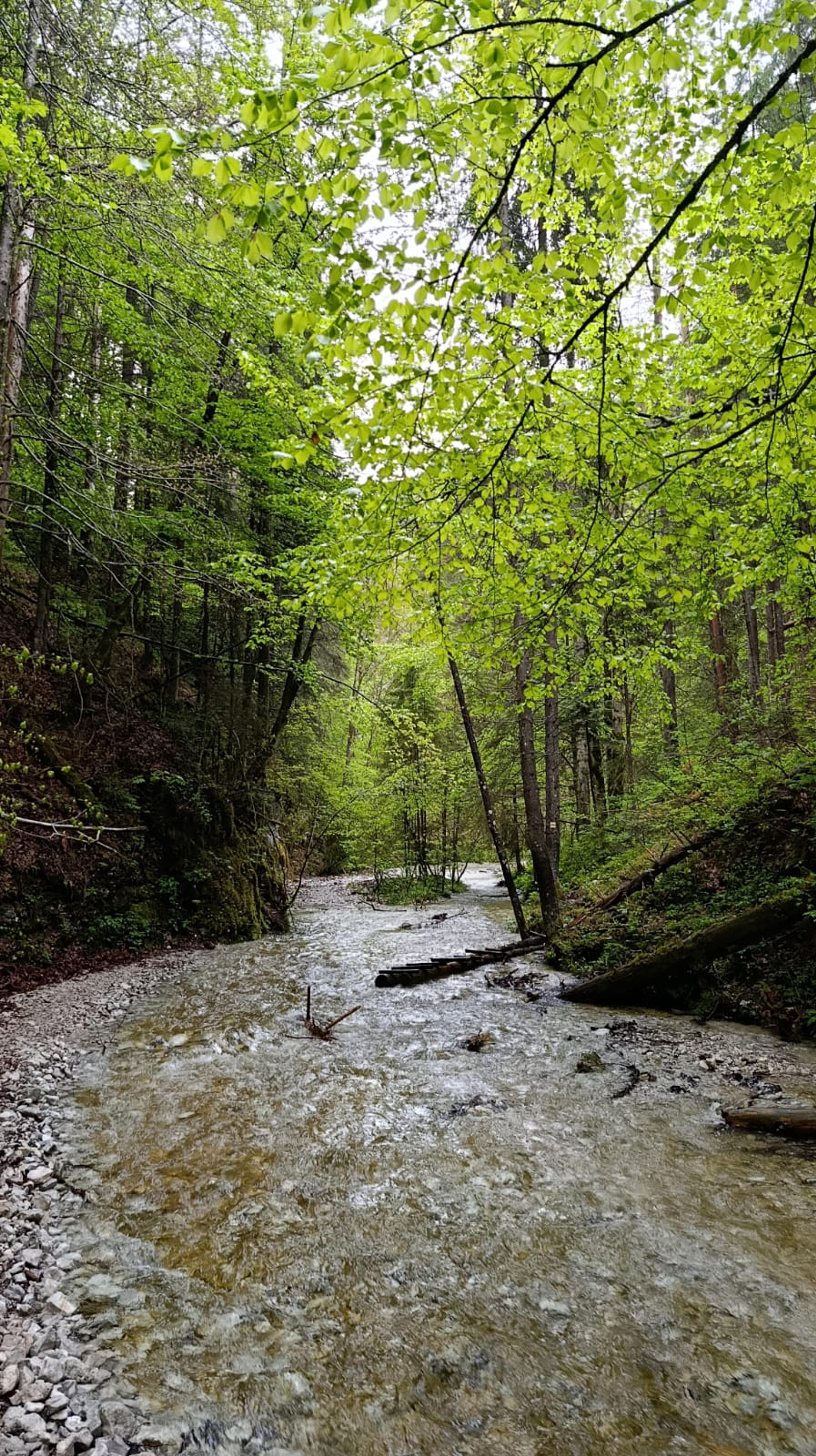 wild gorge slovak paradise waterfall wilderness water
