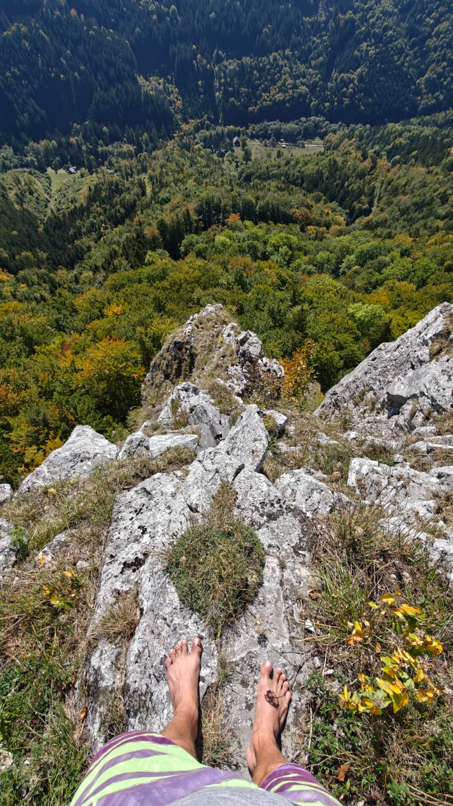 forrest wild Velka fatra walk hike enchanted history oak