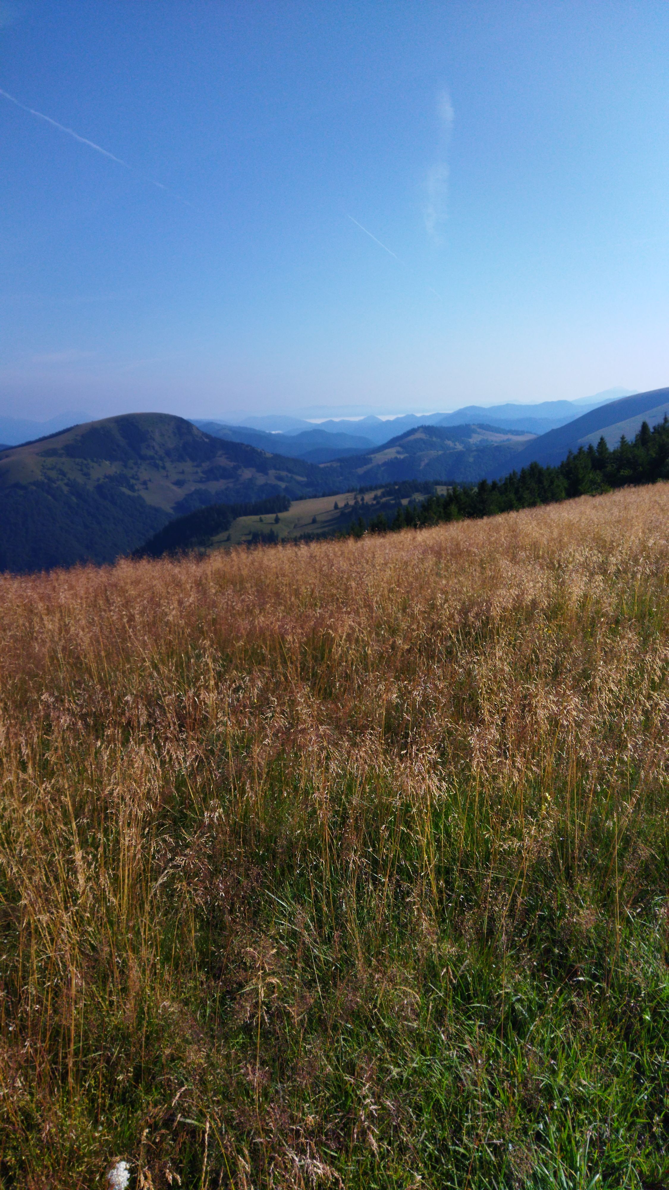 shepherd house, tradition, great fatra, wild valley, ridge 