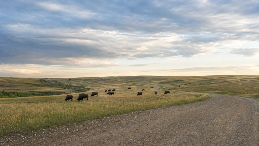 Saskatchewan Bucket List: 10 Unmissable Things to Do