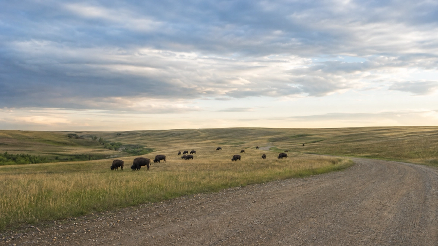 Saskatchewan Bucket List: 10 Unmissable Things to Do