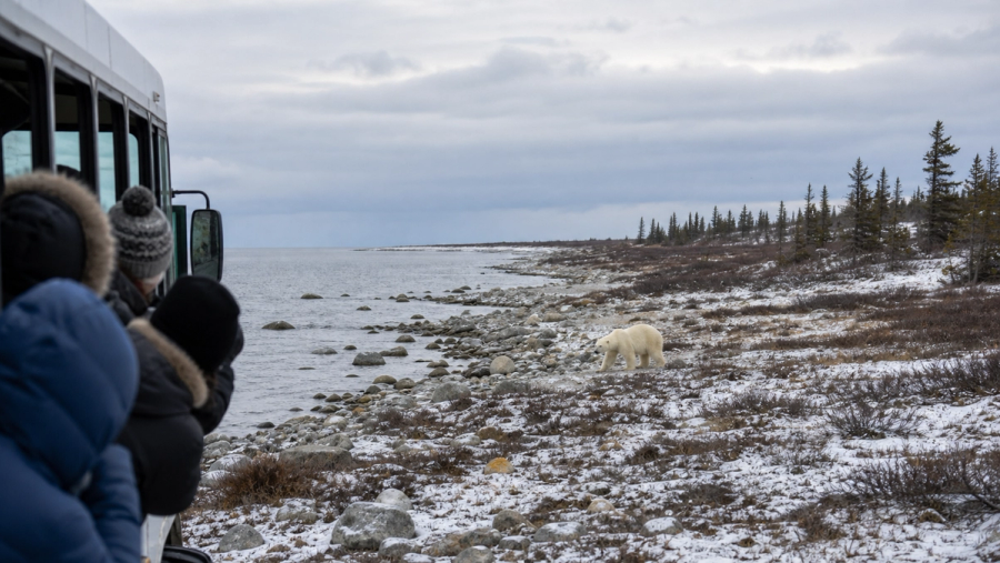 Manitoba Bucket List: 10 Unmissable Things to Do