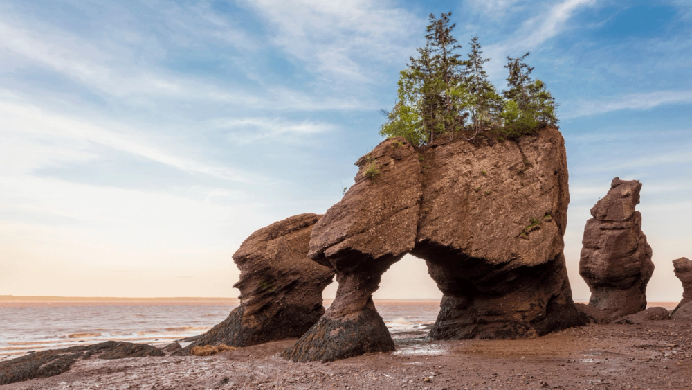 Visitors walking on the ocean floor at Hopewell Rocks in New Brunswick