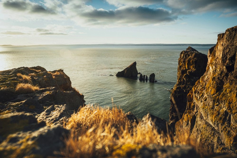The rocky coastline at Mistaken Point in Newfoundland and Labrador