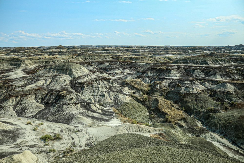 The badlands at Dinosaur Provincial Park in Alberta