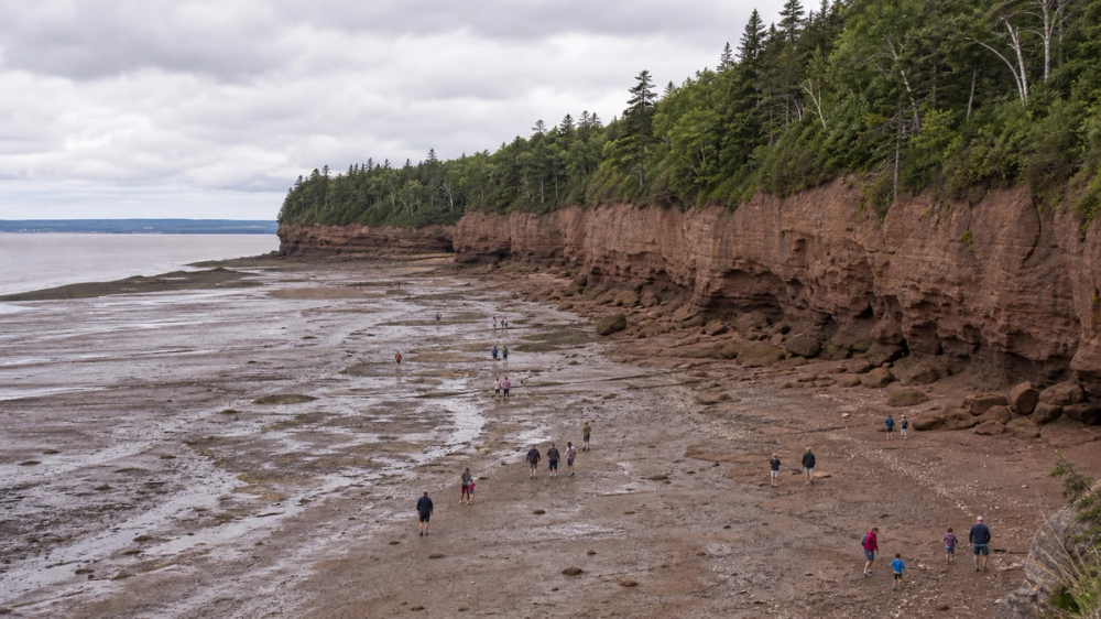 Burntcoat Head and Bay of Fundy low-tide coastal scenery in Nova Scotia