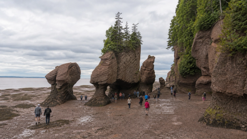 Walk the ocean floor at Hopewell Rocks, Canada