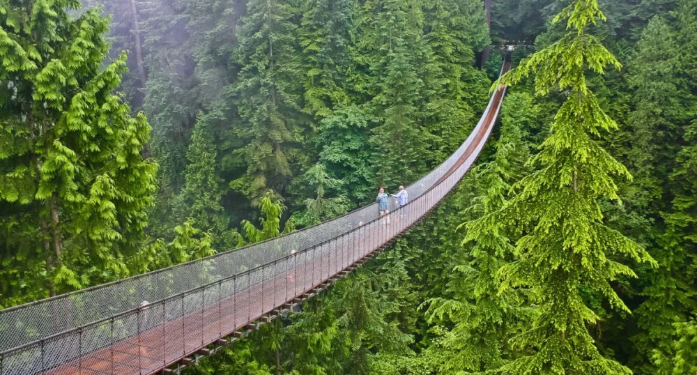 Capilano Suspension Bridge crossing the forest in North Vancouver