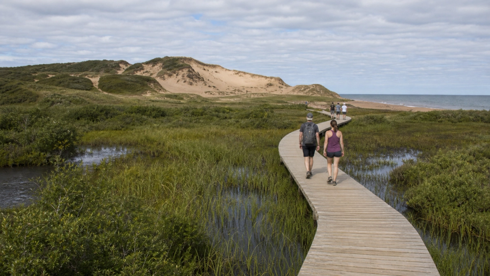 Walk the floating boardwalk to the dunes at Greenwich, Canada
