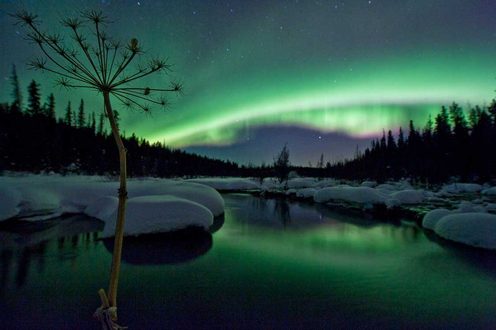 Northern lights over a snowy landscape near Whitehorse Yukon