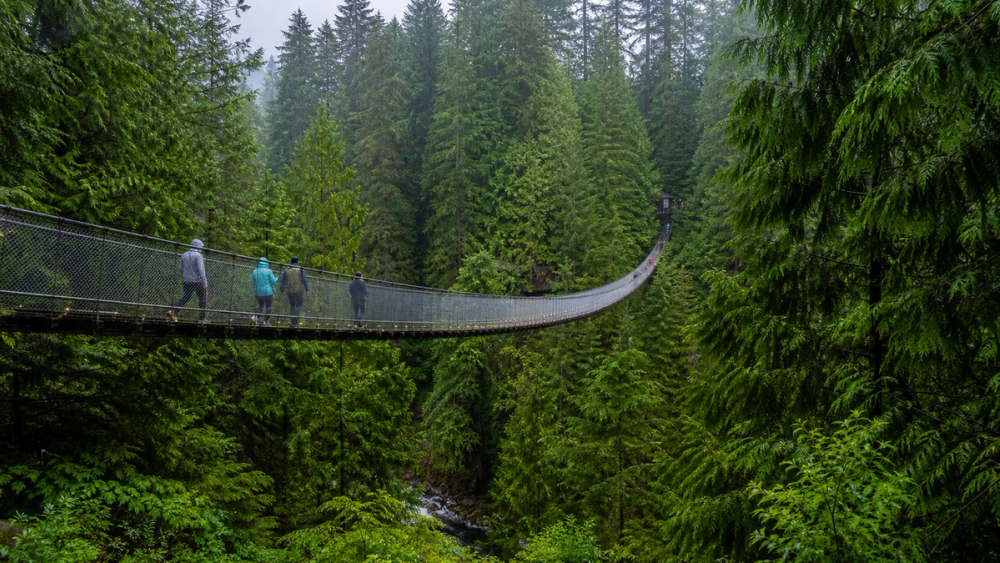 Visitors crossing the Capilano Suspension Bridge through lush coastal rainforest in North Vancouver